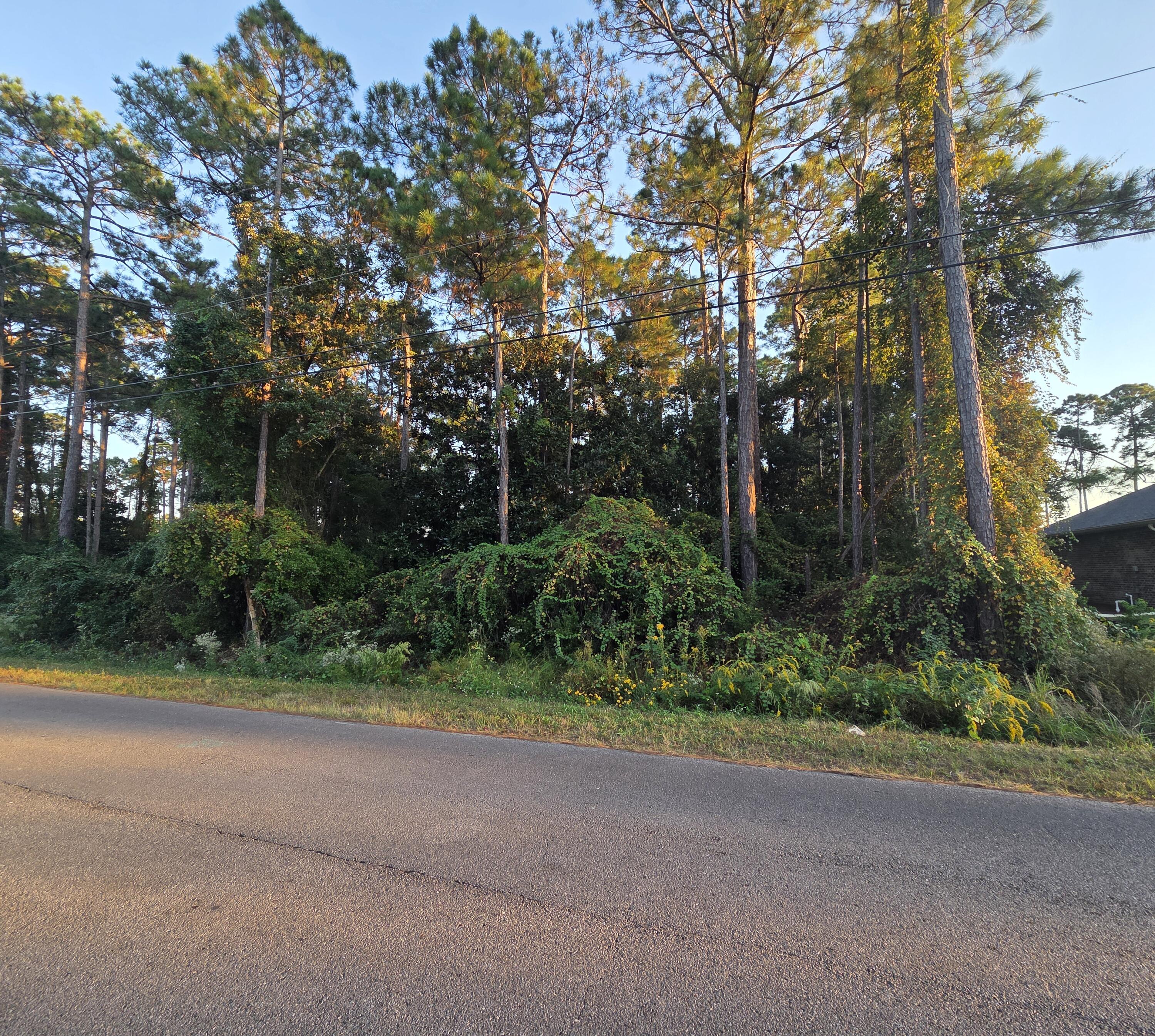 .459 wooded acre lot. Zoned R1 NO manufacture homes. Max density of 4 dwelling units per acre for platted lots. X flood zone. setbacks F 25 ft, S(interior lot): 10 ft, S (corner lot): 15 ft, R 25 ft, no Hydric soils (all per GIS map. See photos for all pertinent information. Electric on the road, water tap in fee due, low pressure sewer is on Escola per Navarre water and tap in fee due .