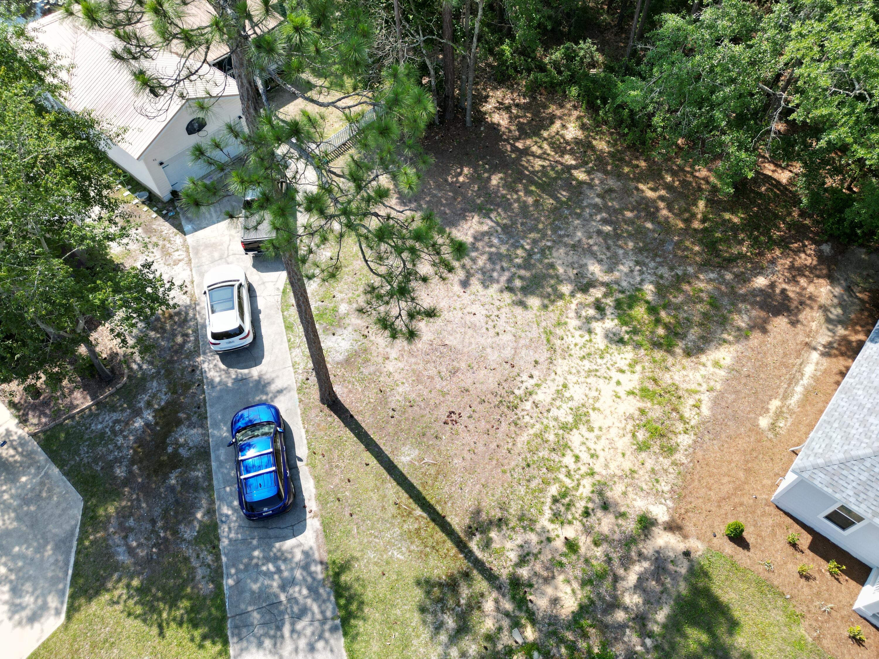 PALMETTO PLANTATION - Land