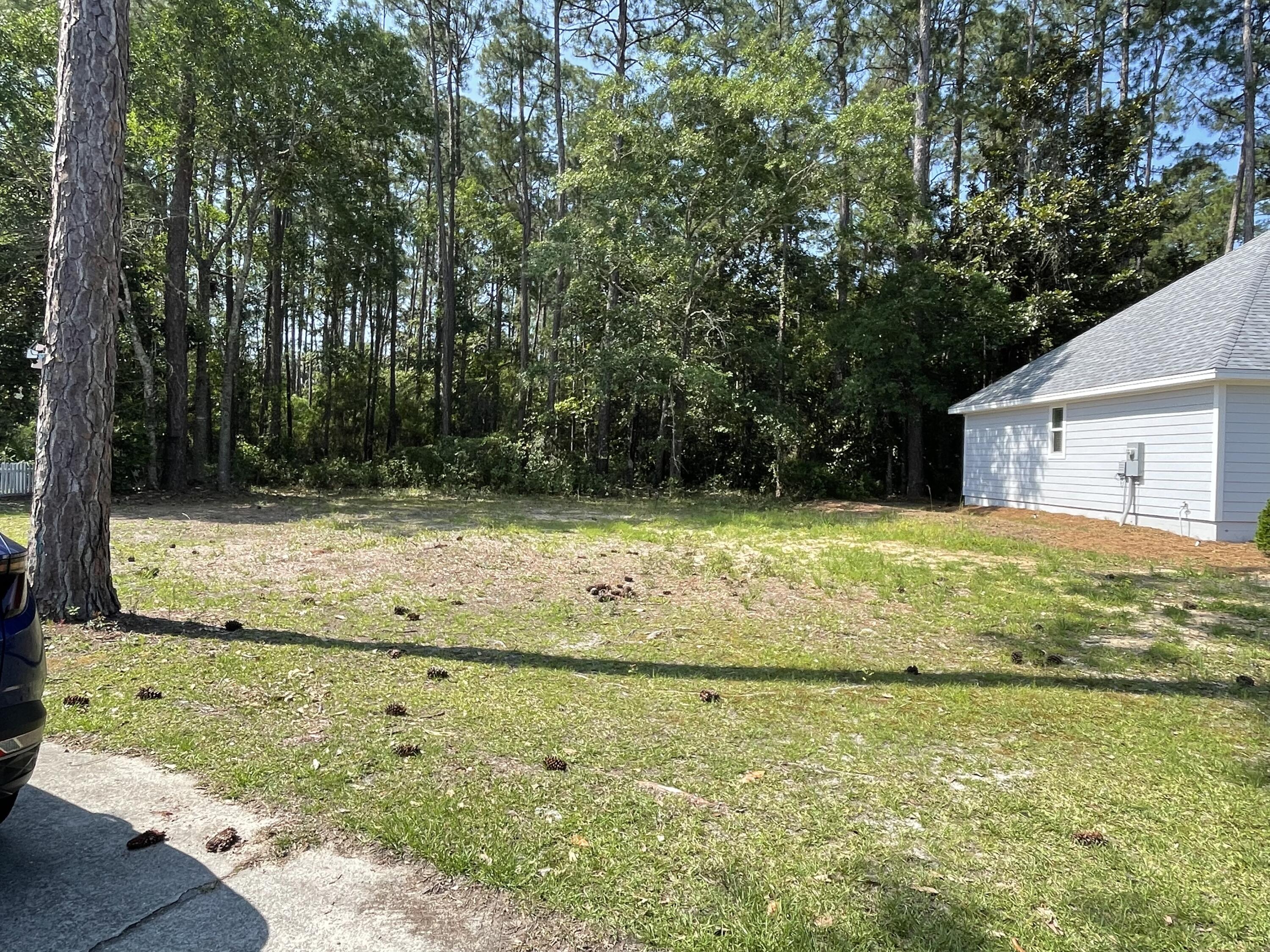 PALMETTO PLANTATION - Land