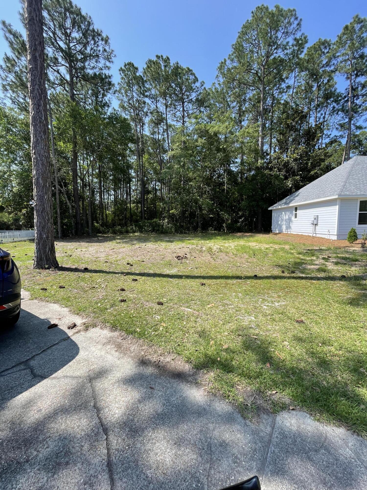 PALMETTO PLANTATION - Land