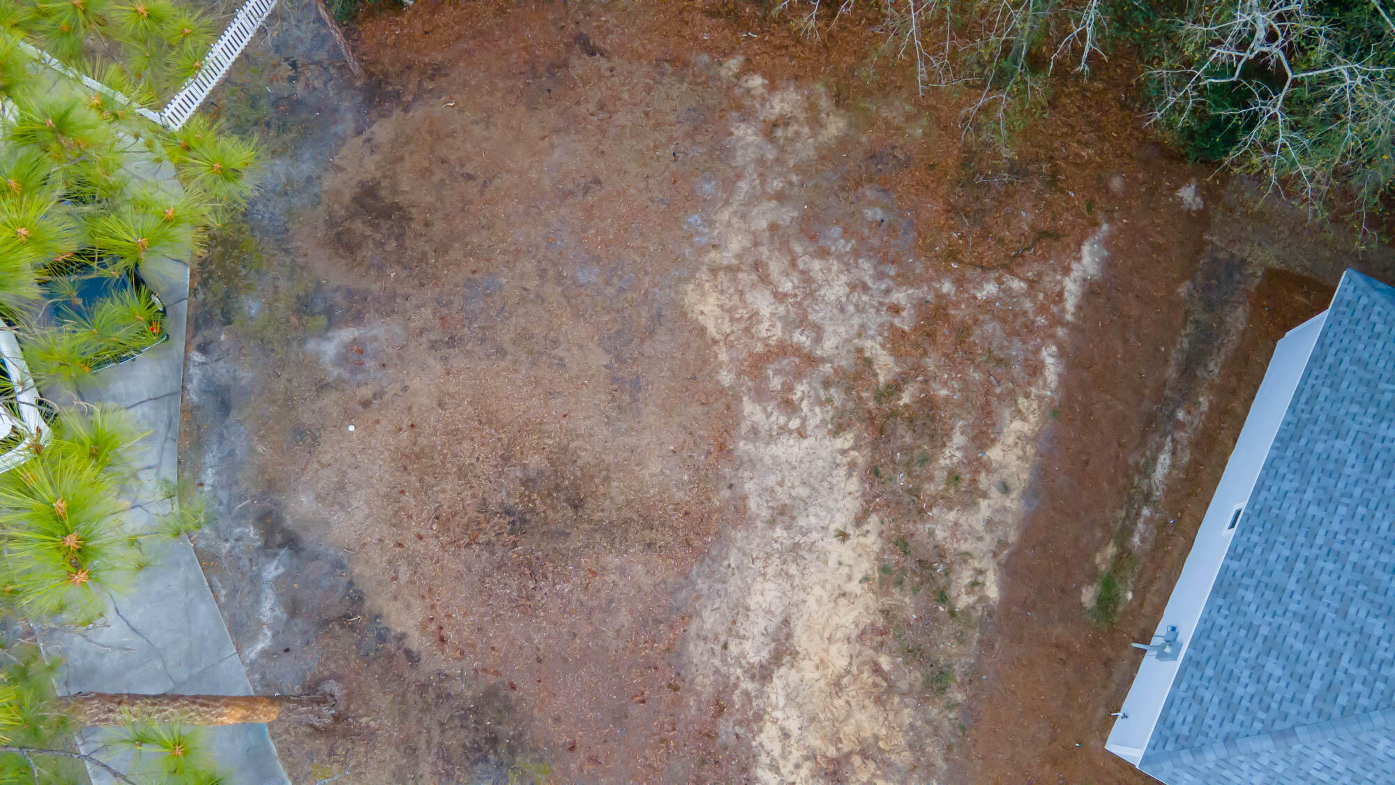 PALMETTO PLANTATION - Land