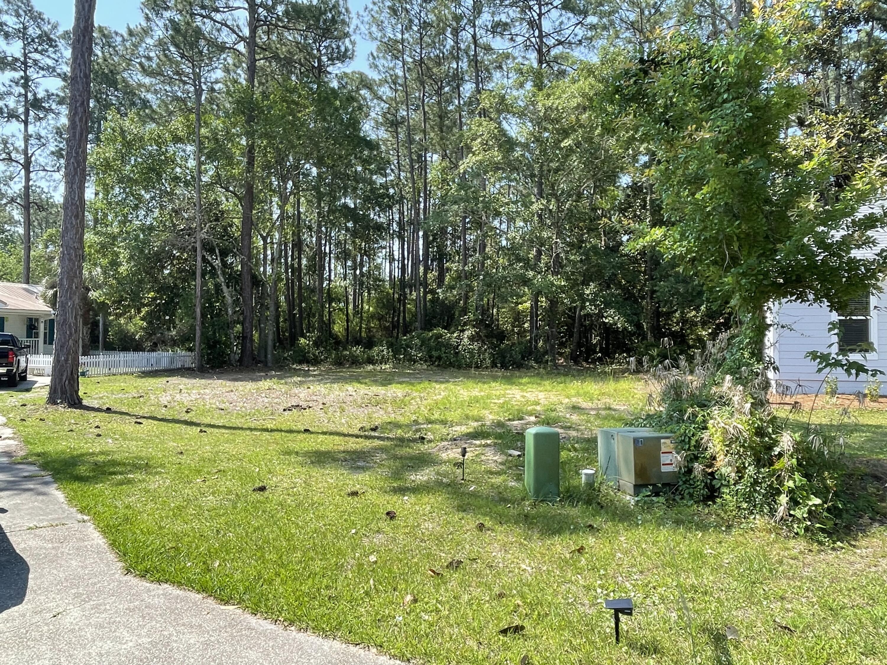 PALMETTO PLANTATION - Land