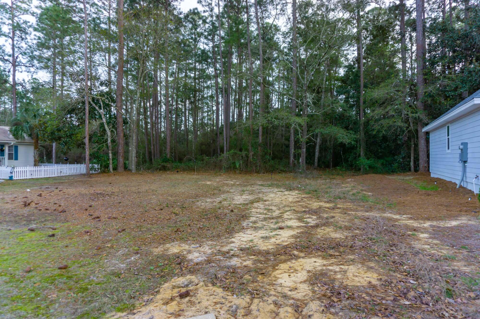 PALMETTO PLANTATION - Land