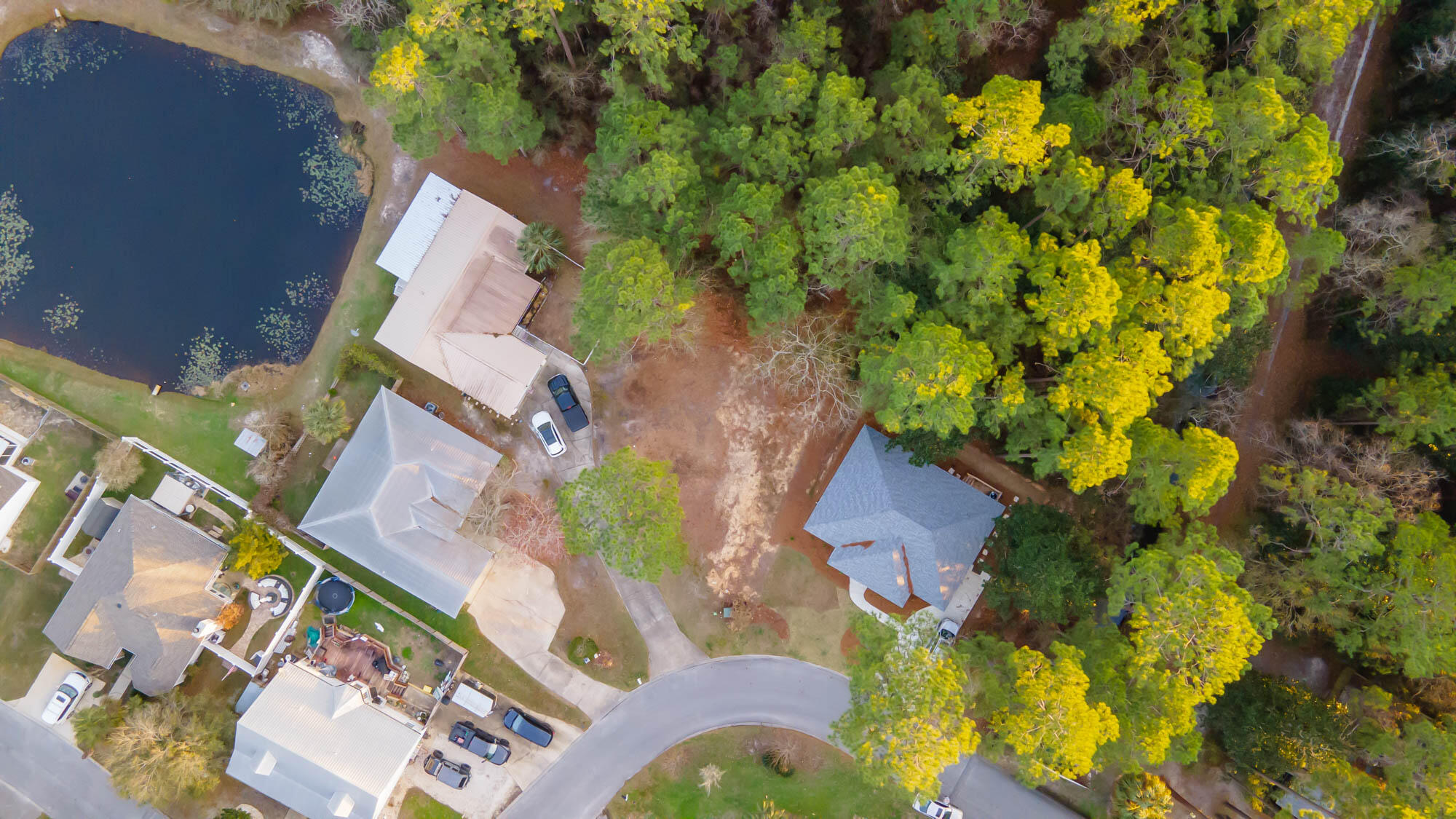 PALMETTO PLANTATION - Land