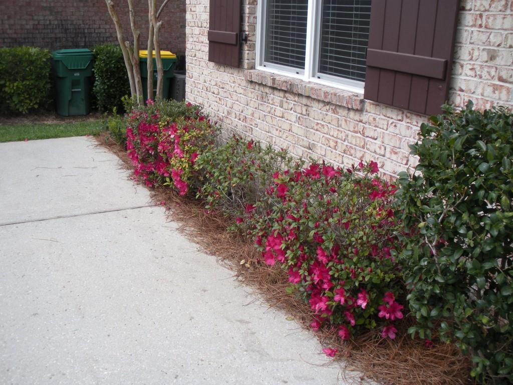 Preserve at Swift Creek - Residential