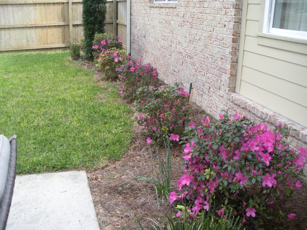 Preserve at Swift Creek - Residential