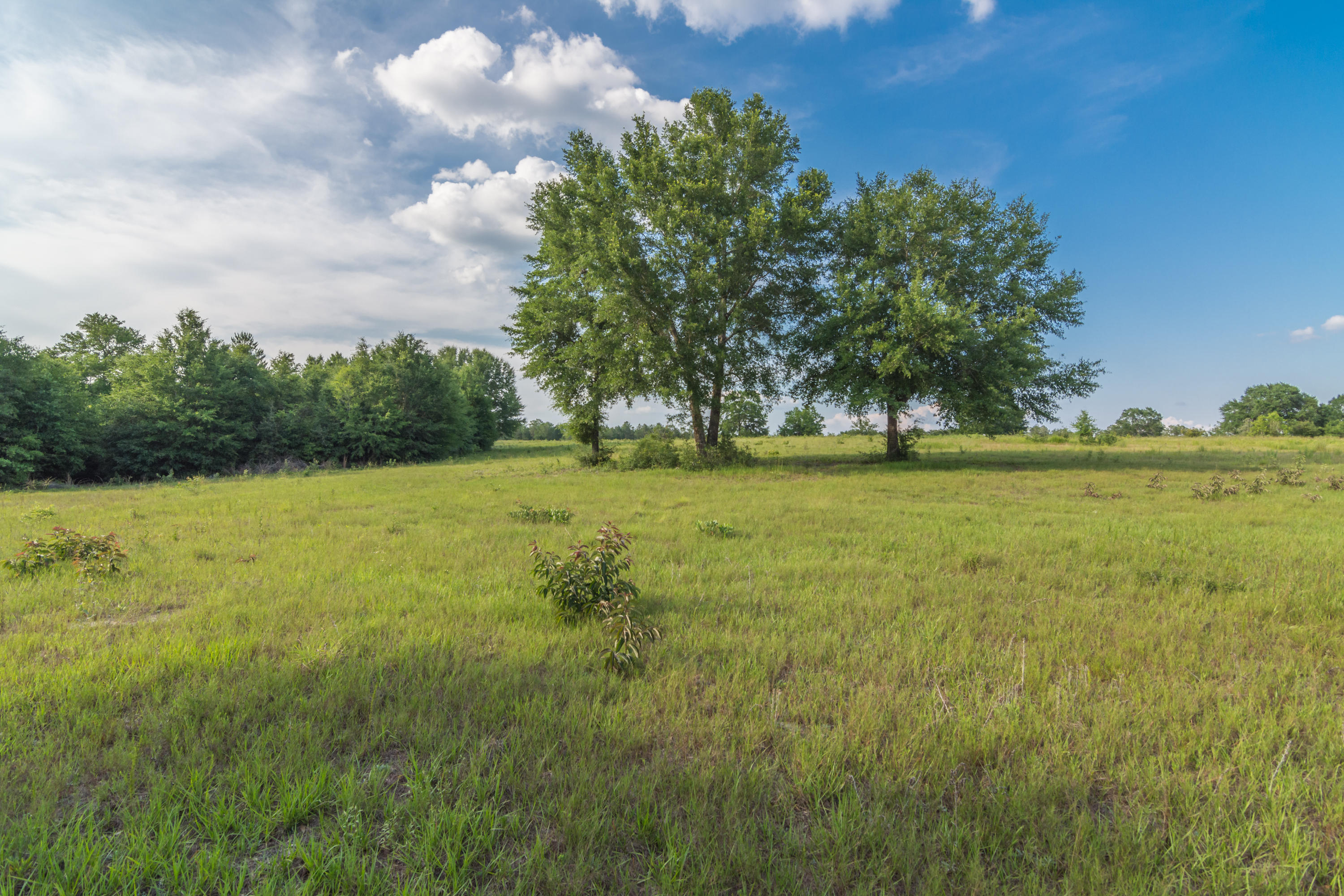 NONESUCH WAY - Residential