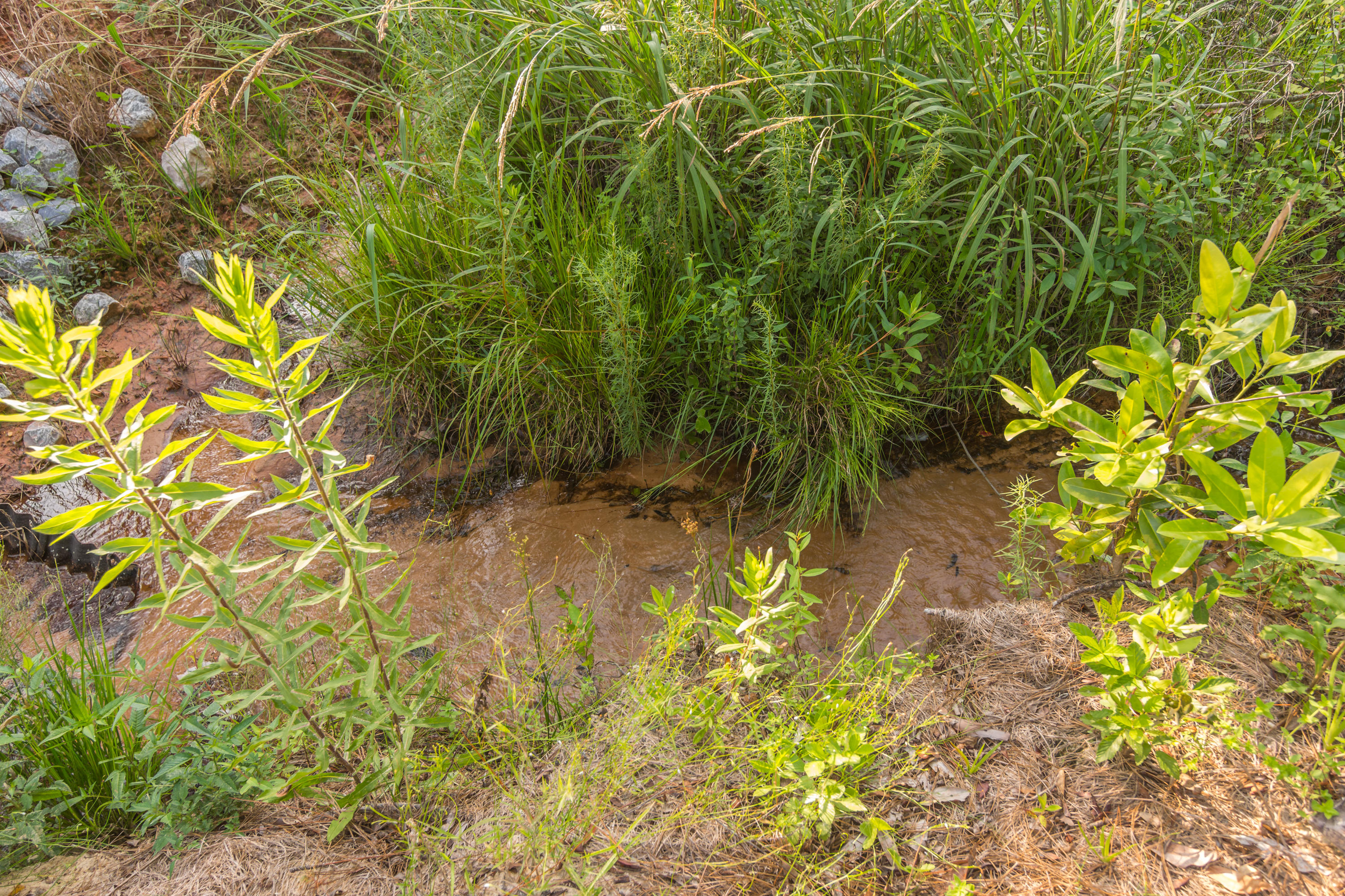 NONESUCH WAY - Residential