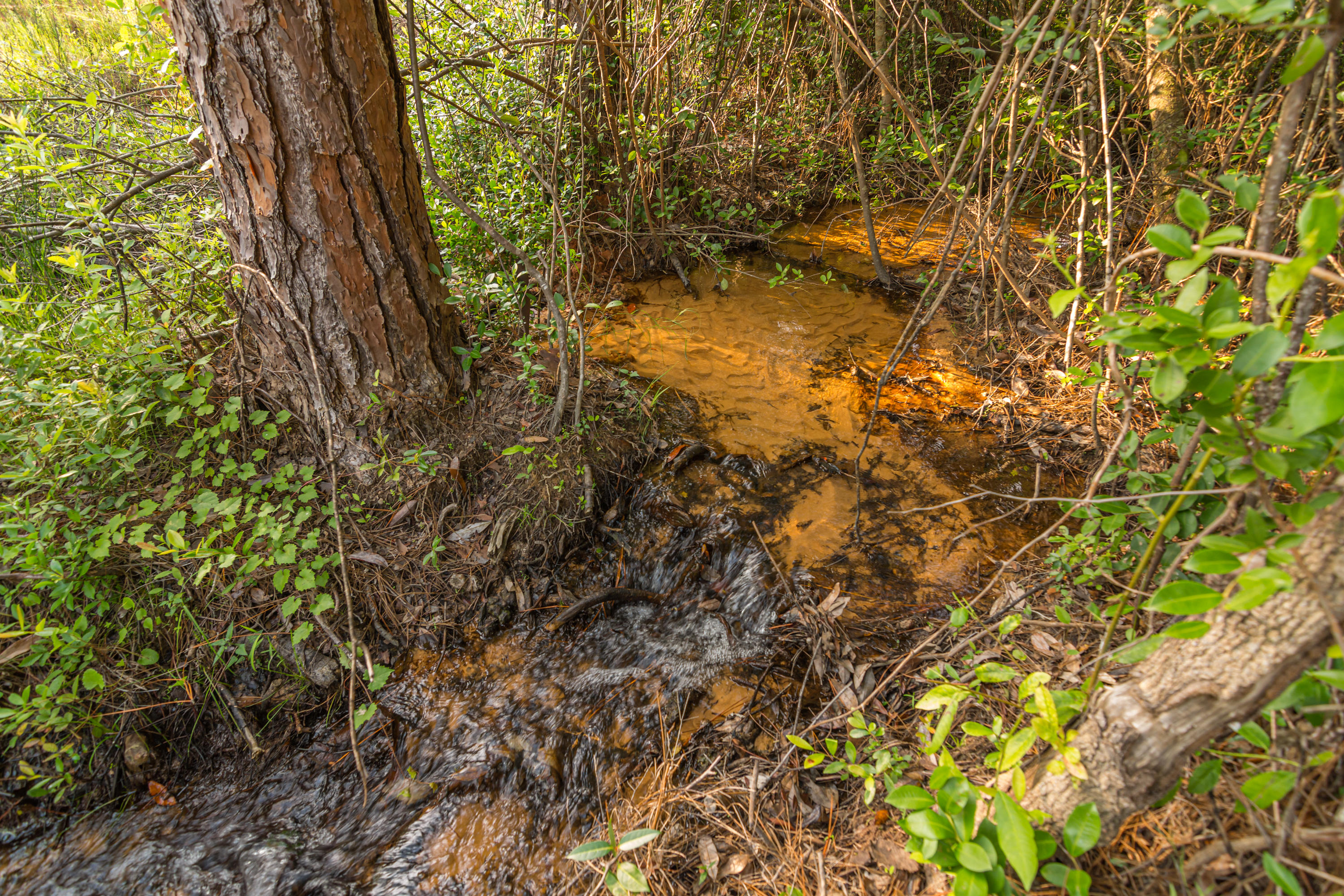 NONESUCH WAY - Residential