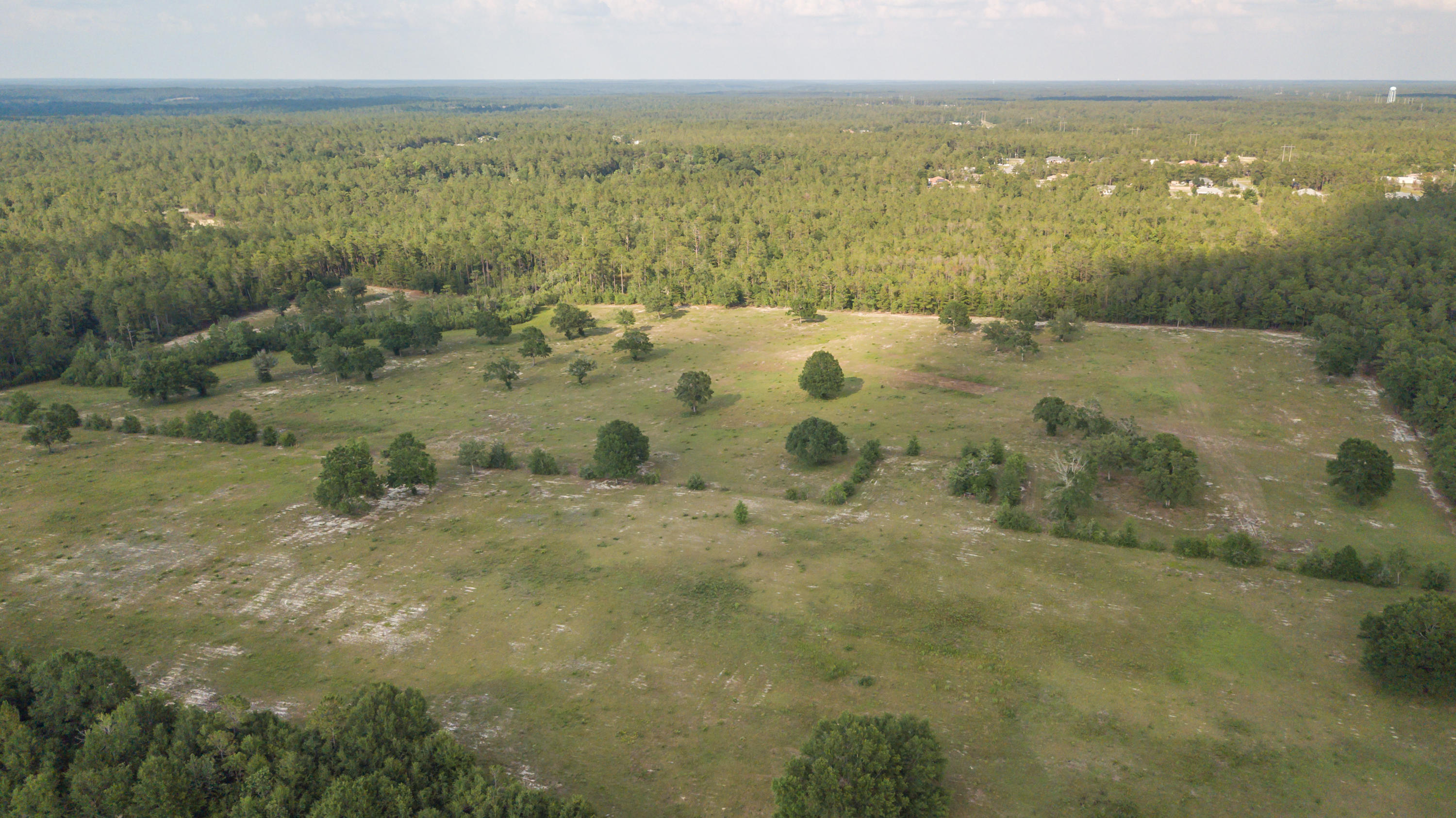 NONESUCH WAY - Residential