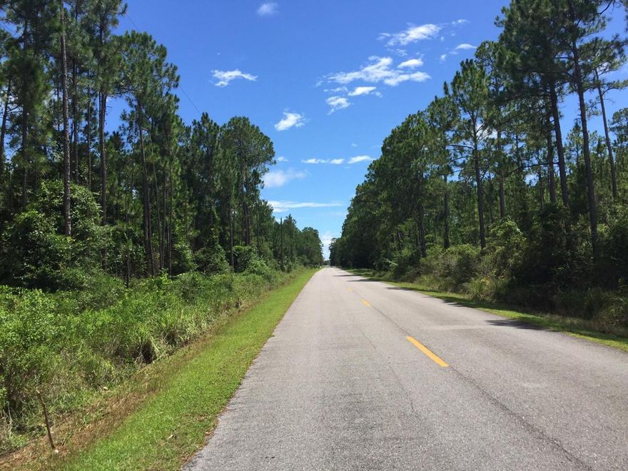 9.75 wooded acres. Minutes to the Hogtown Bayou public boat ramp and access to Choctawhatchee Bay. Less than 5 miles to Gulf Place and the public beach access leading to the Gulf of Mexico and the most beautiful beaches in the world! Adjoining 9.75 acre parcel also for sale
