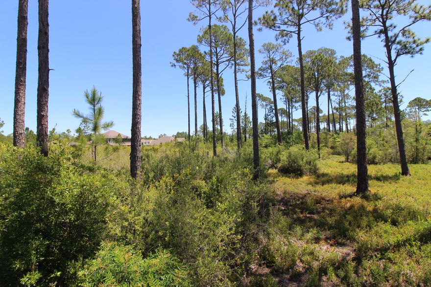 Private, quiet and convenient 10 acres just north of HWY 98E and south of Hogtown Bayou & Choctawhatchee. Build-able 6.36 acres abutting the Eagle Bay Landing Subdivision in Santa Rosa Beach Fl. Zoned conservation residential. Area has Electricity, sewer and water. Seller will provide Survey and Wet land Survey with acceptable contract. Seller will consider a 5 year financing option.