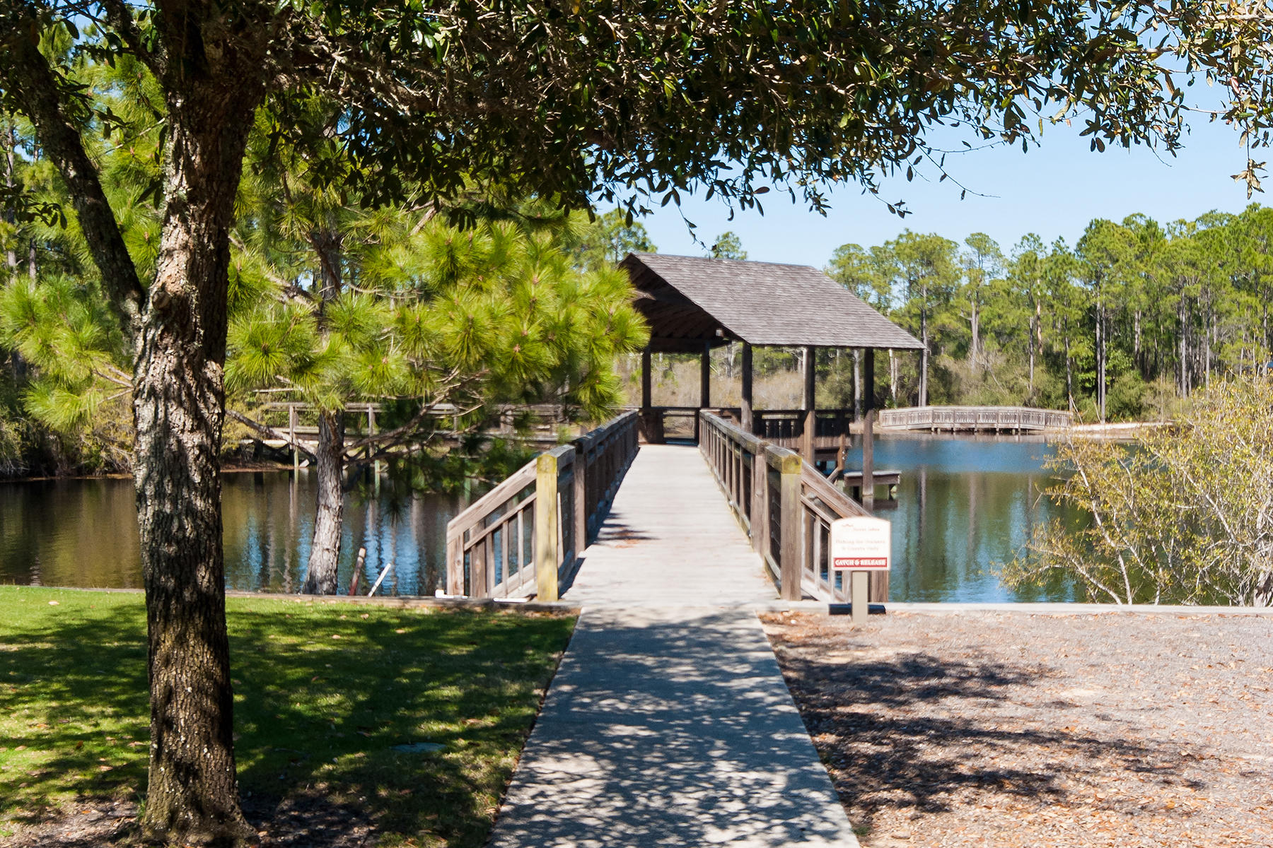 FOREST LAKES PH I - Land