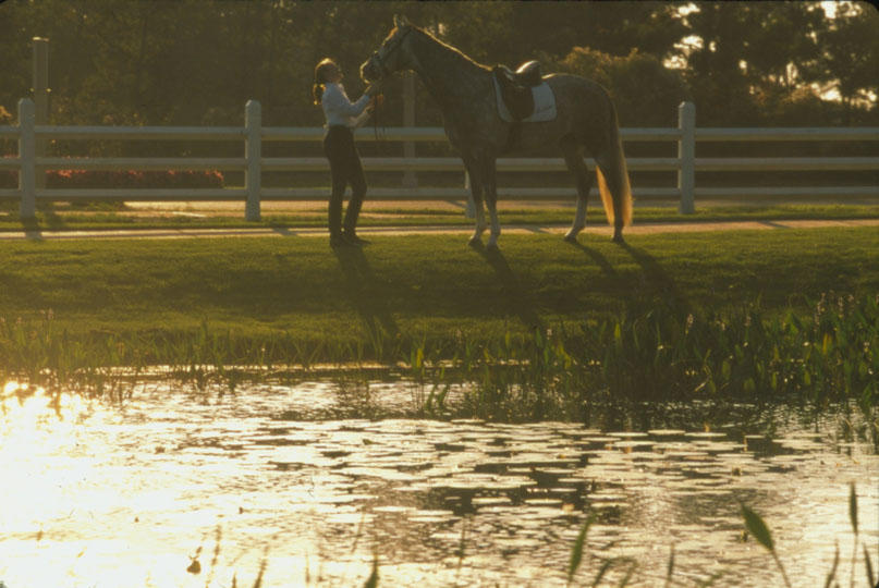 KELLY PLANTATION S/D PH 3 - Residential