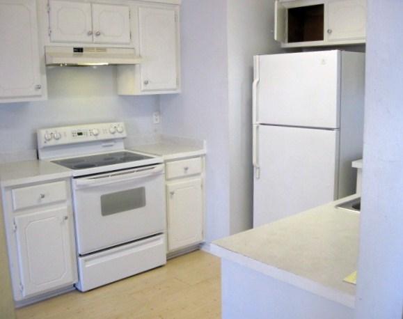 BLUE PINE VILLAGE - Residential Lease