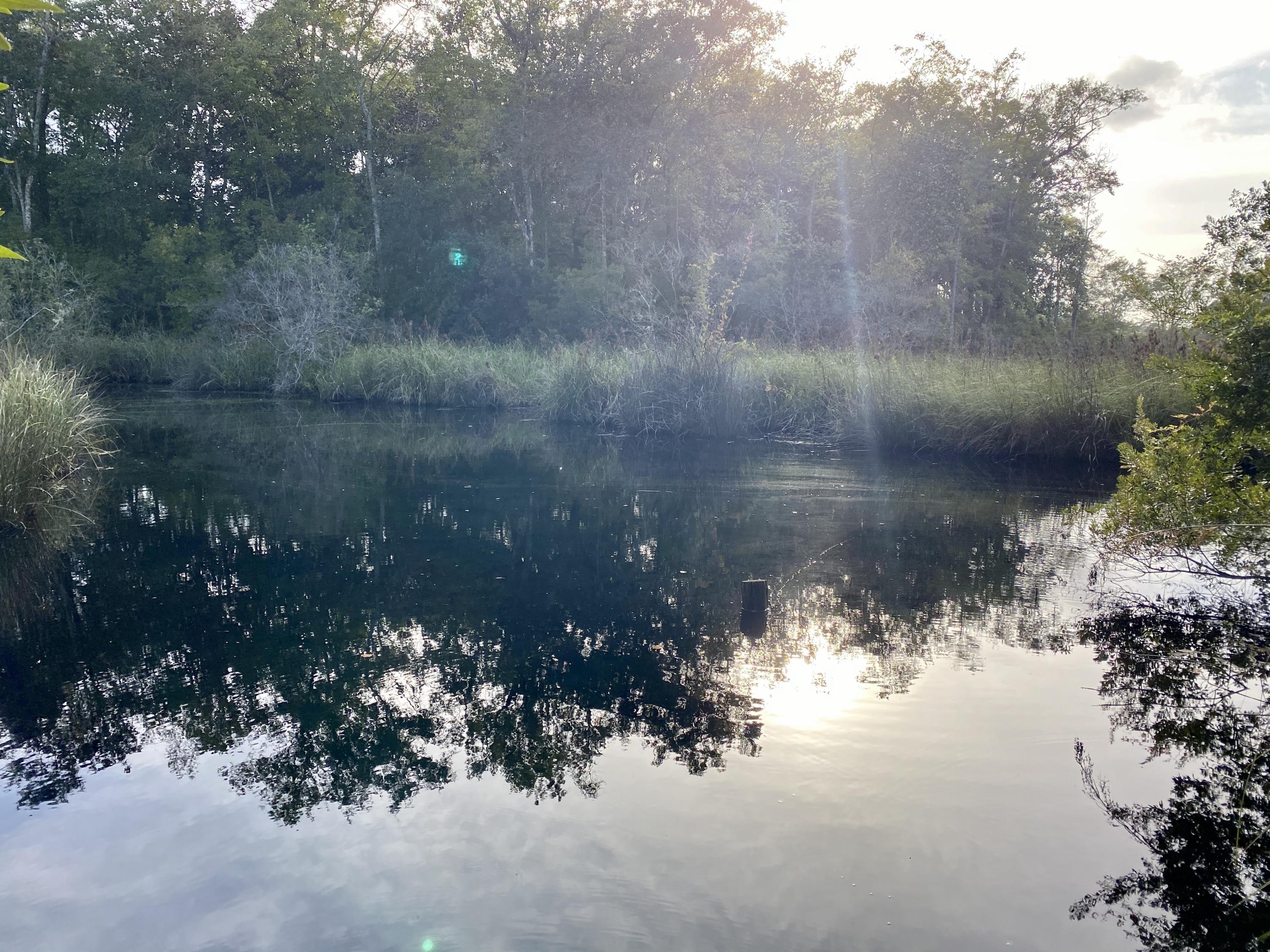 Water Front lot! This waterfront lot located in WaterView Cove leads to the choctawhatchee bay. Build your new waterfront home in this neighborhood with no HOA, no build out time and has water & sewer available. Grab this beautiful lot in the quickly expanding city of Freeport FL.