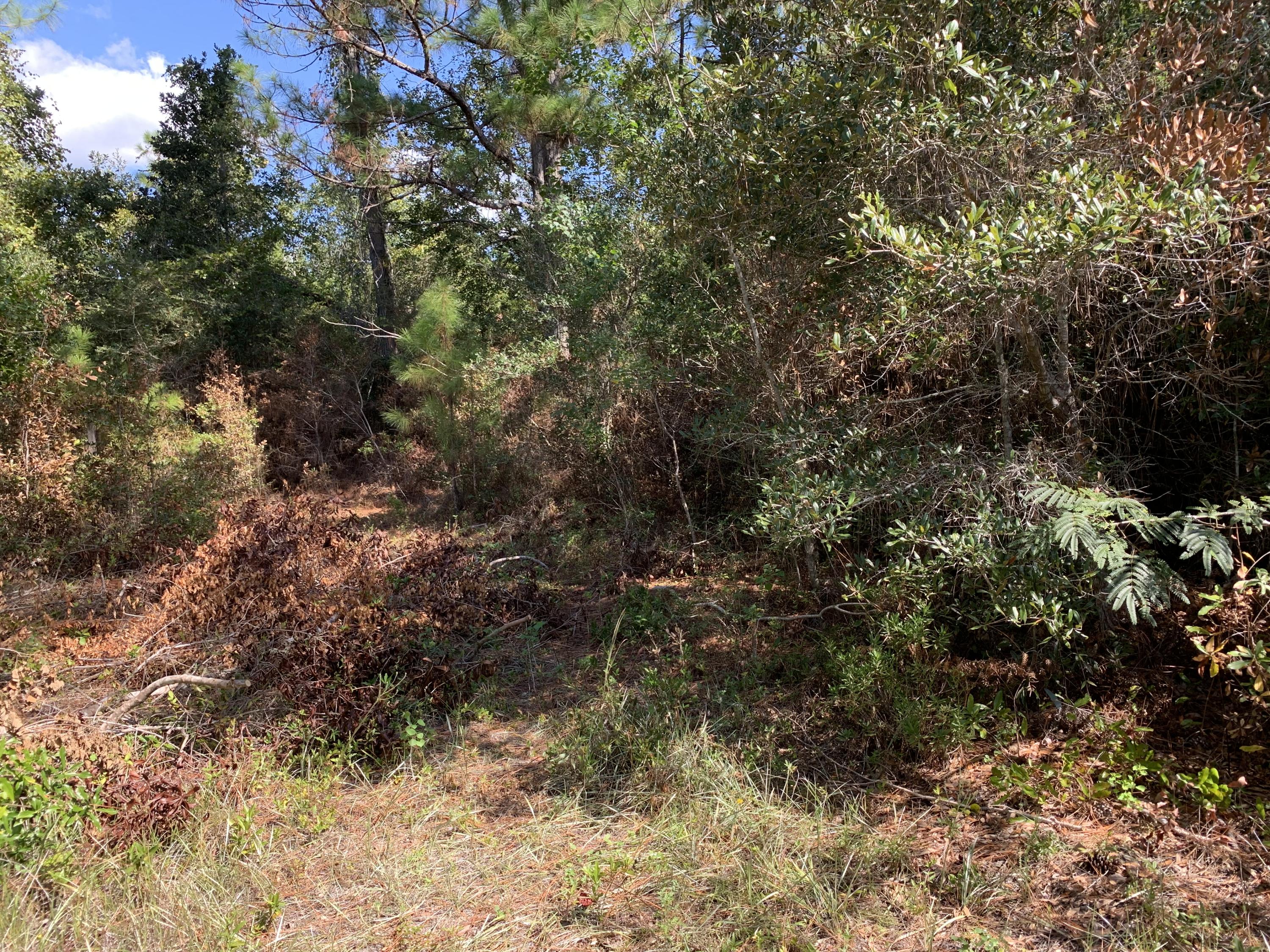 Meets and Bounds - Land