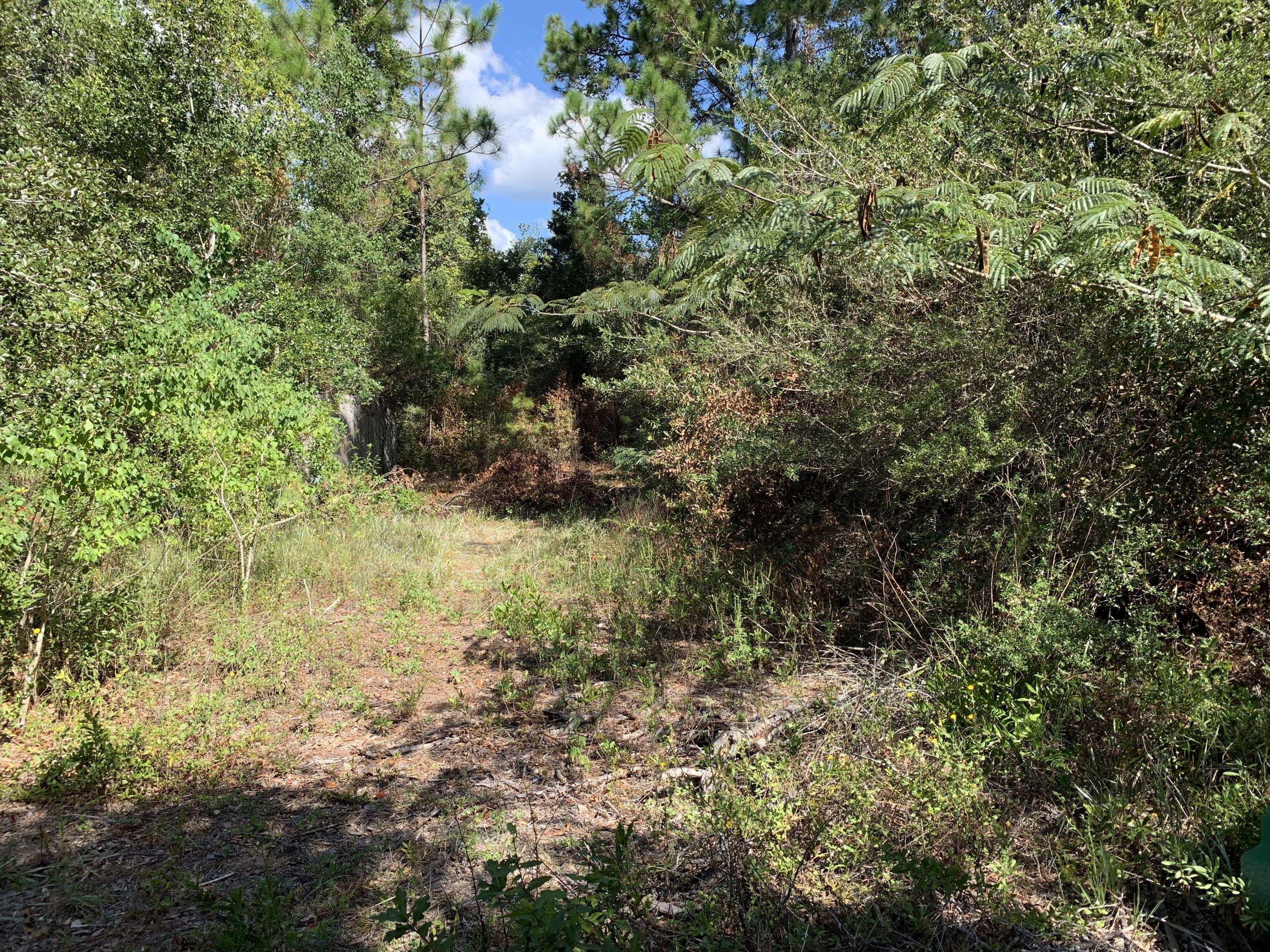 Meets and Bounds - Land