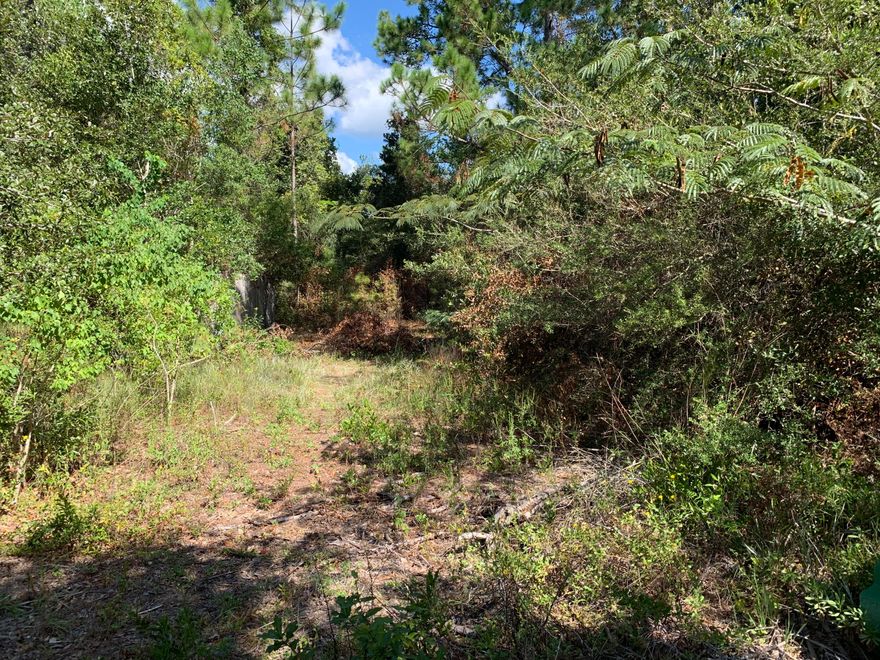 Privacy, Privacy and more Privacy! Totally secluded .22 acres that offer peace, quiet and tranquility! I understand that if land is cleared, there is access and view of the water; Buyer would need to verify; This land is at the very end of the road on Galleon; No covenants or restrictions on this piece of land in this area. Come today and enjoy and experience your piece of privacy where you have limited neighbors!