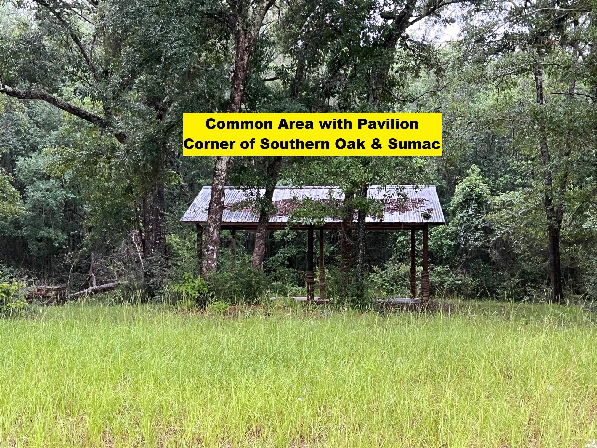 Reedy Creek Crossing Phase I - Land