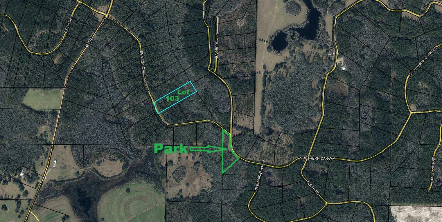 Reedy Creek Crossing Phase I - Land
