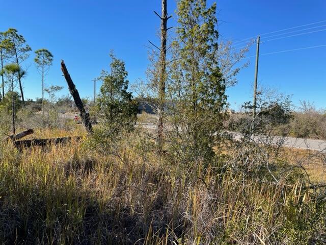 Rare find on Industrial Drive. Approximately 2.8 acres just waiting for you. Excellent location for your commercial site just off Hwy 231 and convenient to Hwy 77 and Panama City.