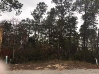 LAKESIDE AT BLUE MOUNTAIN BEACH - Land