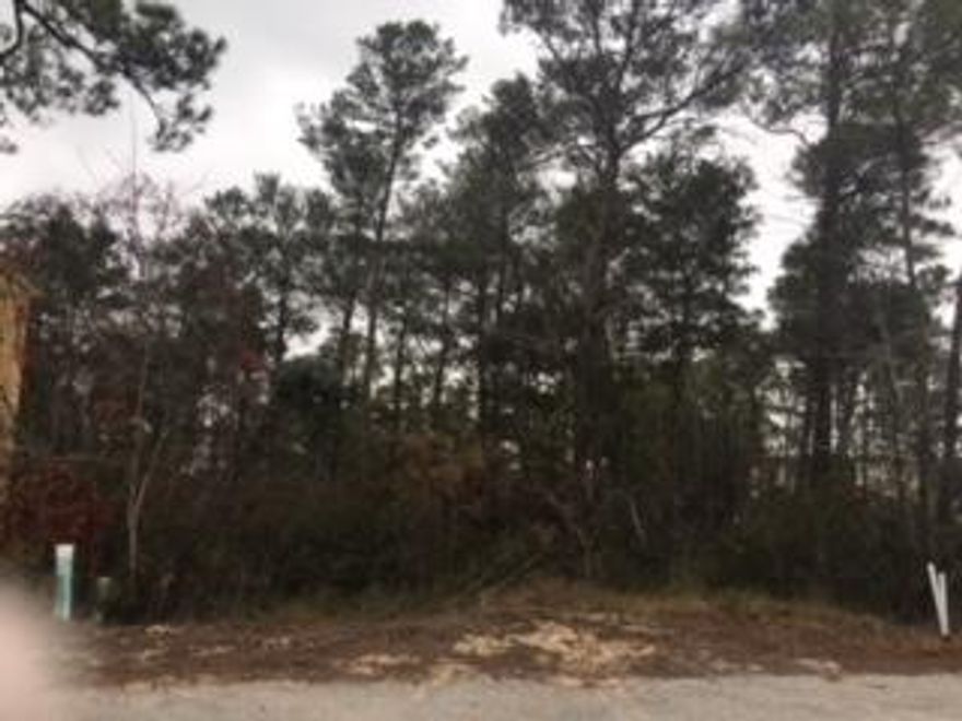 One of the lowest priced homesites in the popular 30A community of Lakeside at Blue Mountain Beach! This is an ideal homesite for a family home or beach rental. Flood insurance is no required and the sewer and water taps have been paid (a savings of over $8K.) It is conveniently located just a short bike ride from the community pool and Clubhouse and public beach access in Blue Mountain Beach with parking and restroom.Lakeside is tucked away in a private setting bordered on the North and East by Point Washington State Forrest and abuts Big Redfish Lake, a rare coastal dune lake. To the South is Redfish Village with shops, dining and live music. The location of this community is ideal for enjoying the miles of nearby bike trails, paddle boarding or fishing in the