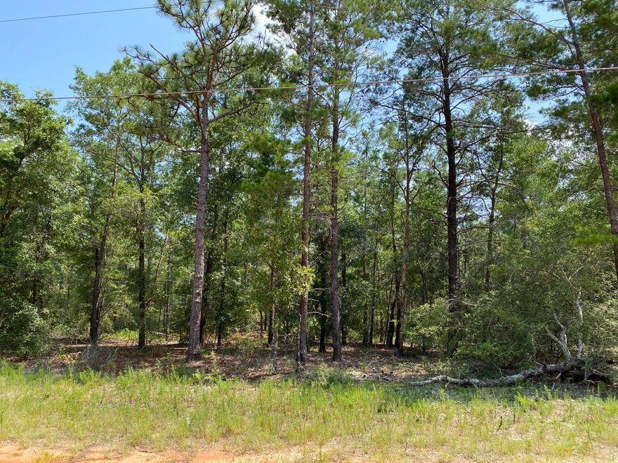 Nice wooded double lot to build your home or cabin. 10 minutes to historic DeFuniak Springs, 25 Minutes to Crestview and 45 minutes to those beautiful white sand beaches.