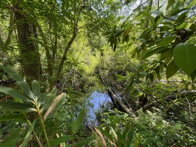 WATERVIEW COVE - Residential