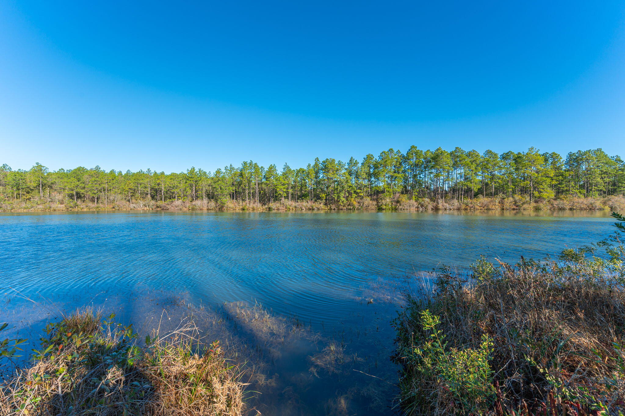 Nature Lake - Residential
