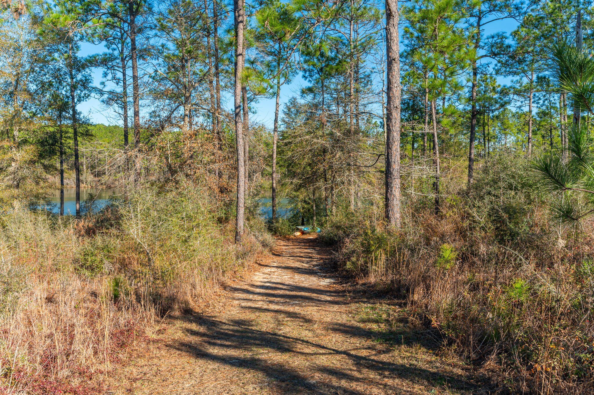 Nature Lake - Residential