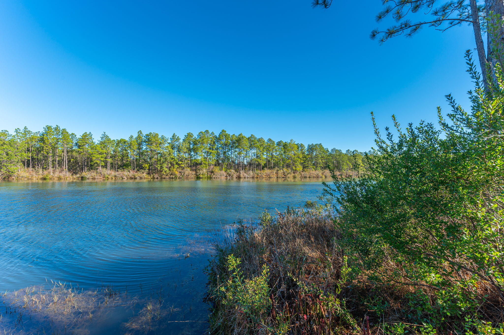 Nature Lake - Residential