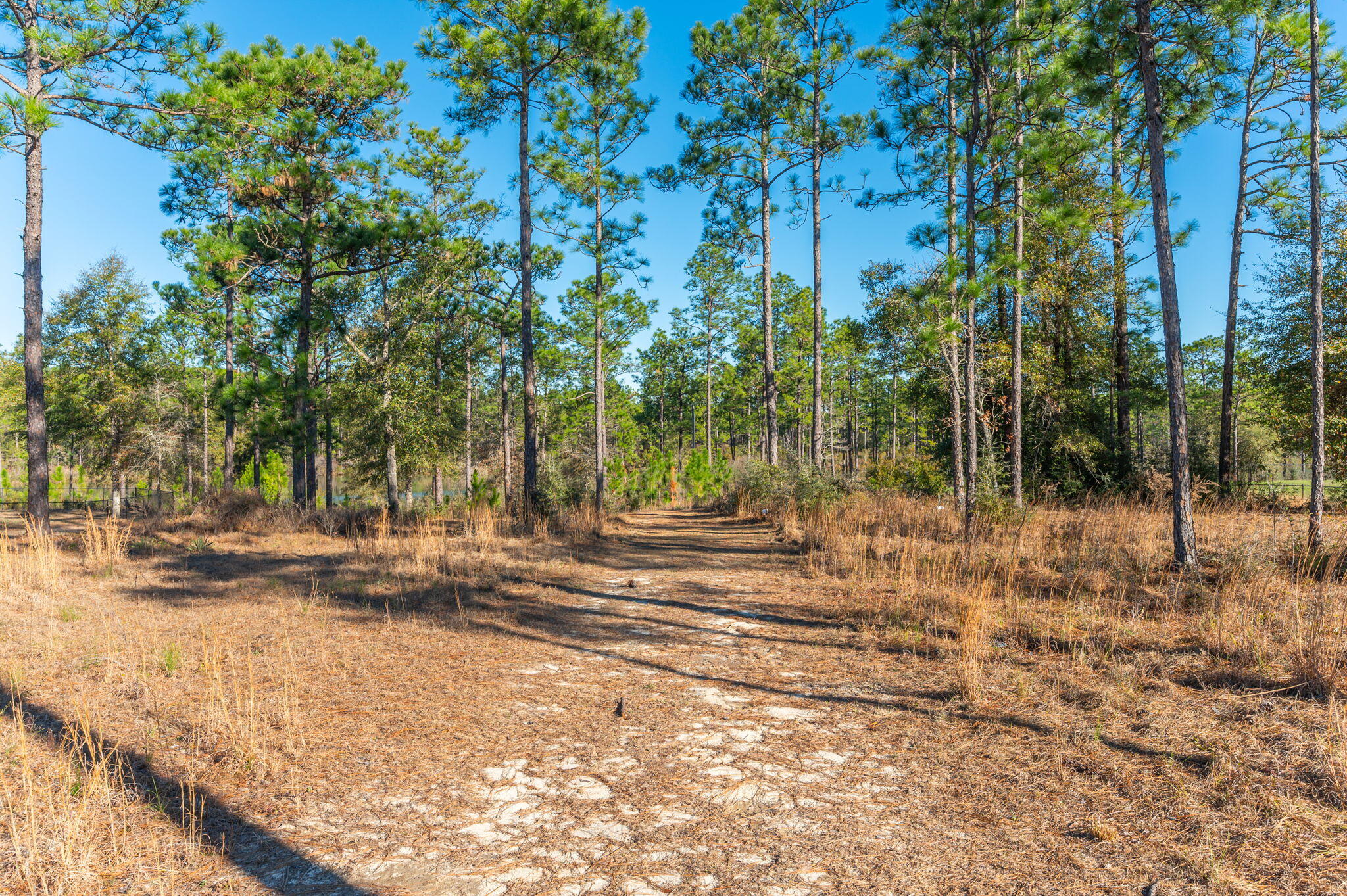 Nature Lake - Residential
