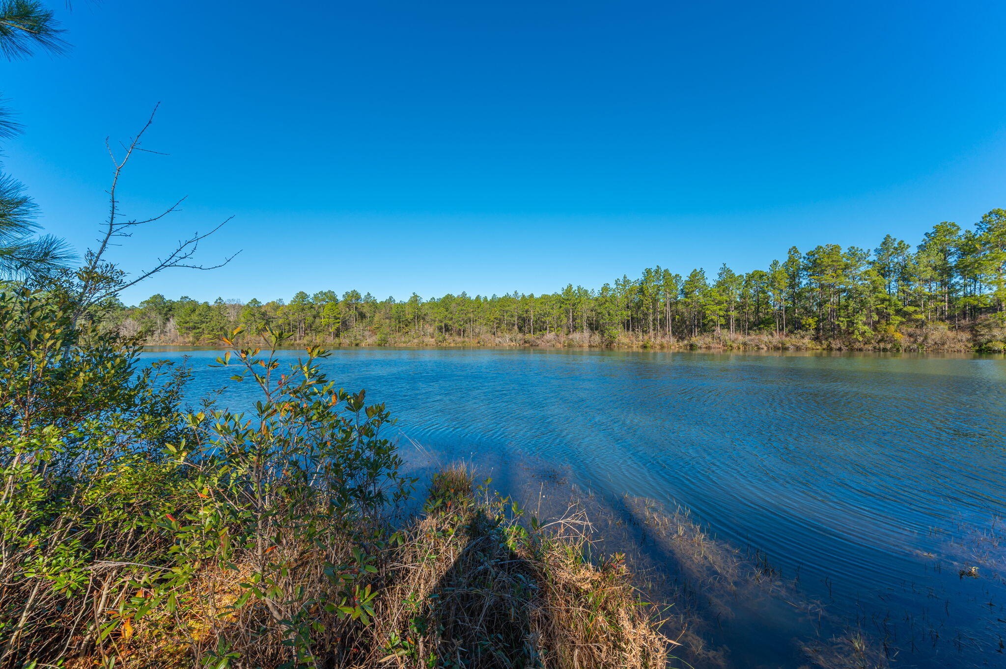 Nature Lake - Residential