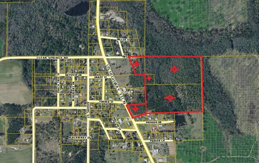 Attention hunters and outdoor enthusiasts44.8 wood acres. Excellent deer hunting in N. Walton/Paxton area.