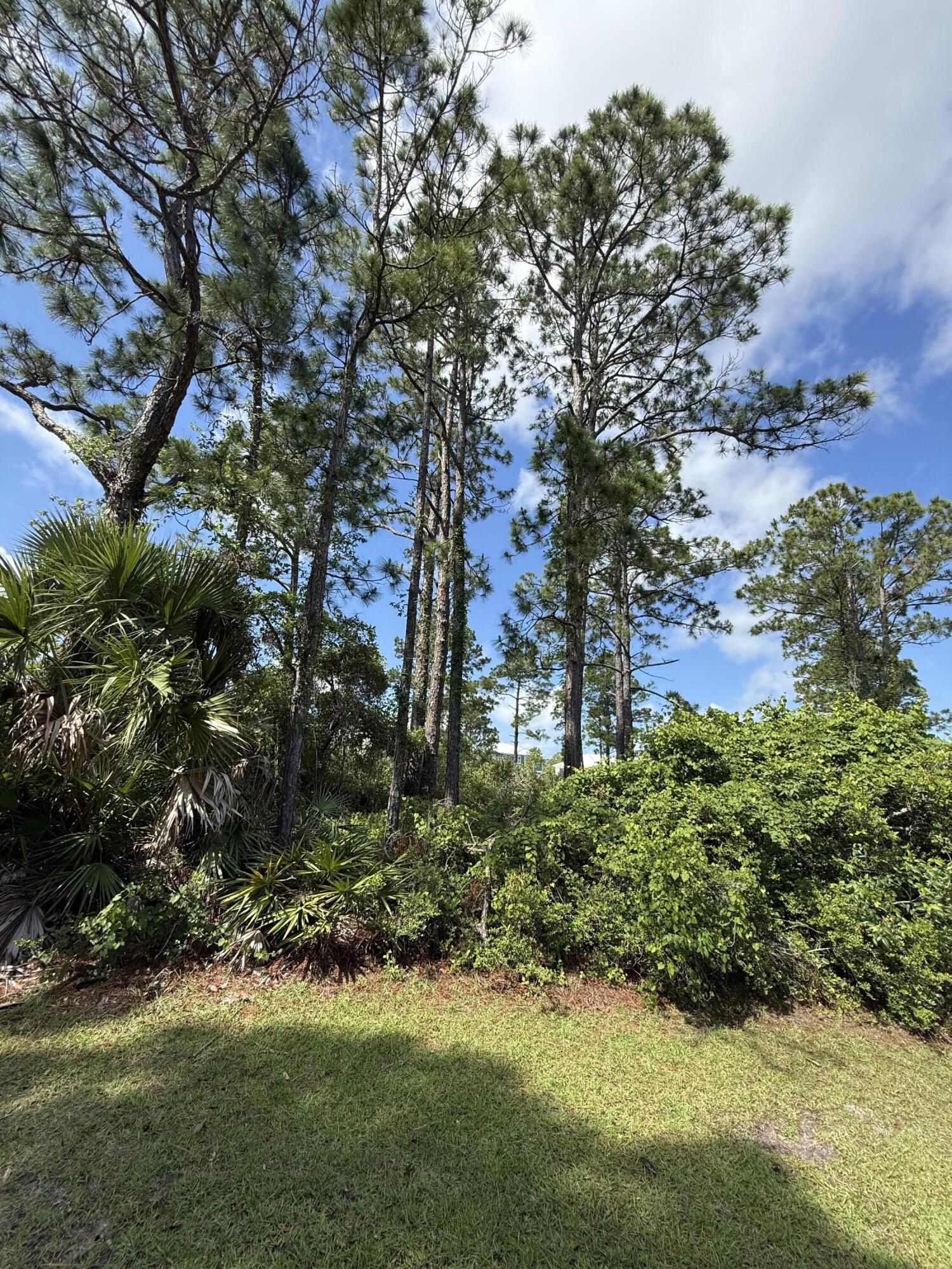 Surfside Estates - Land
