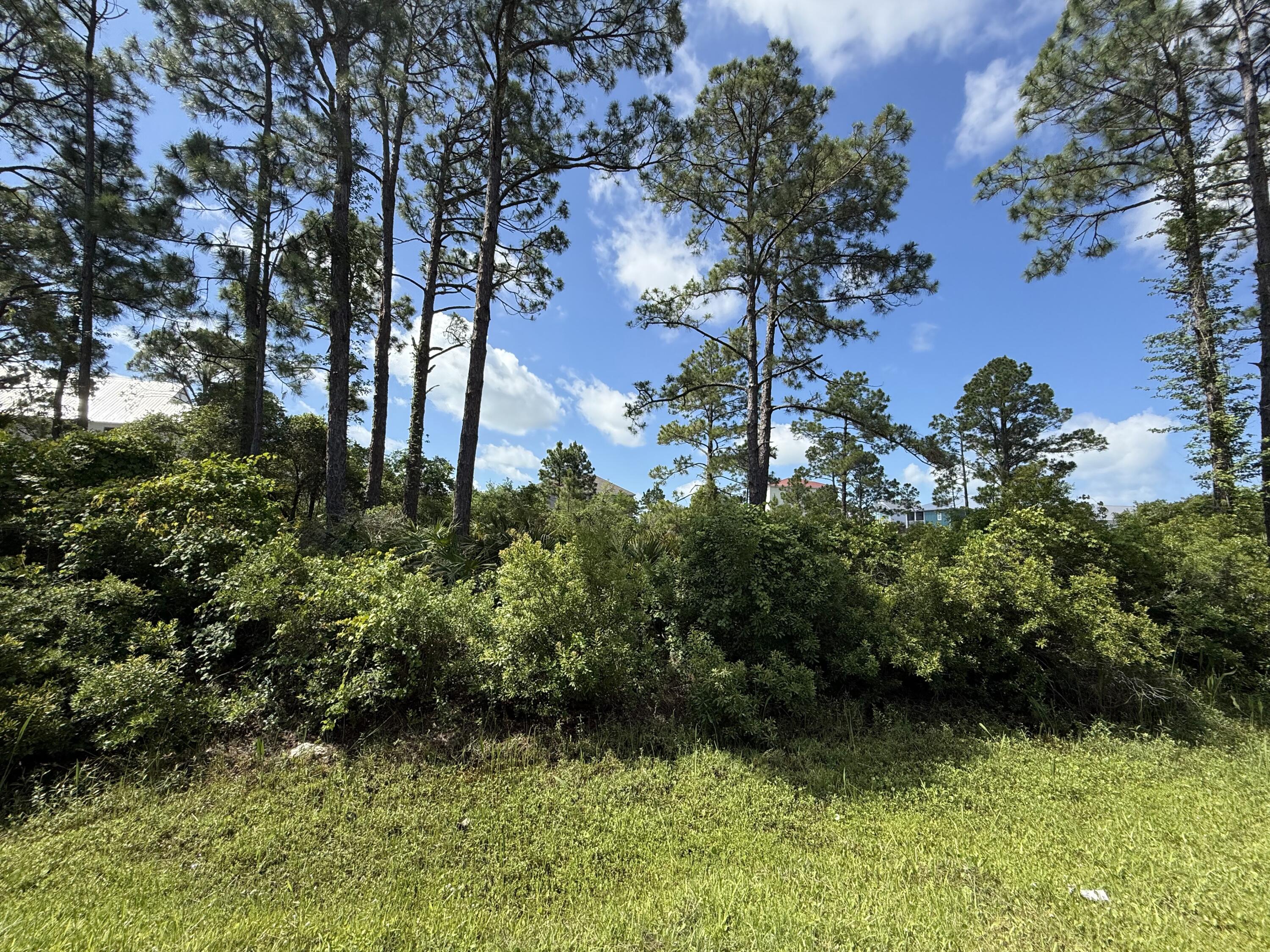 Surfside Estates - Land