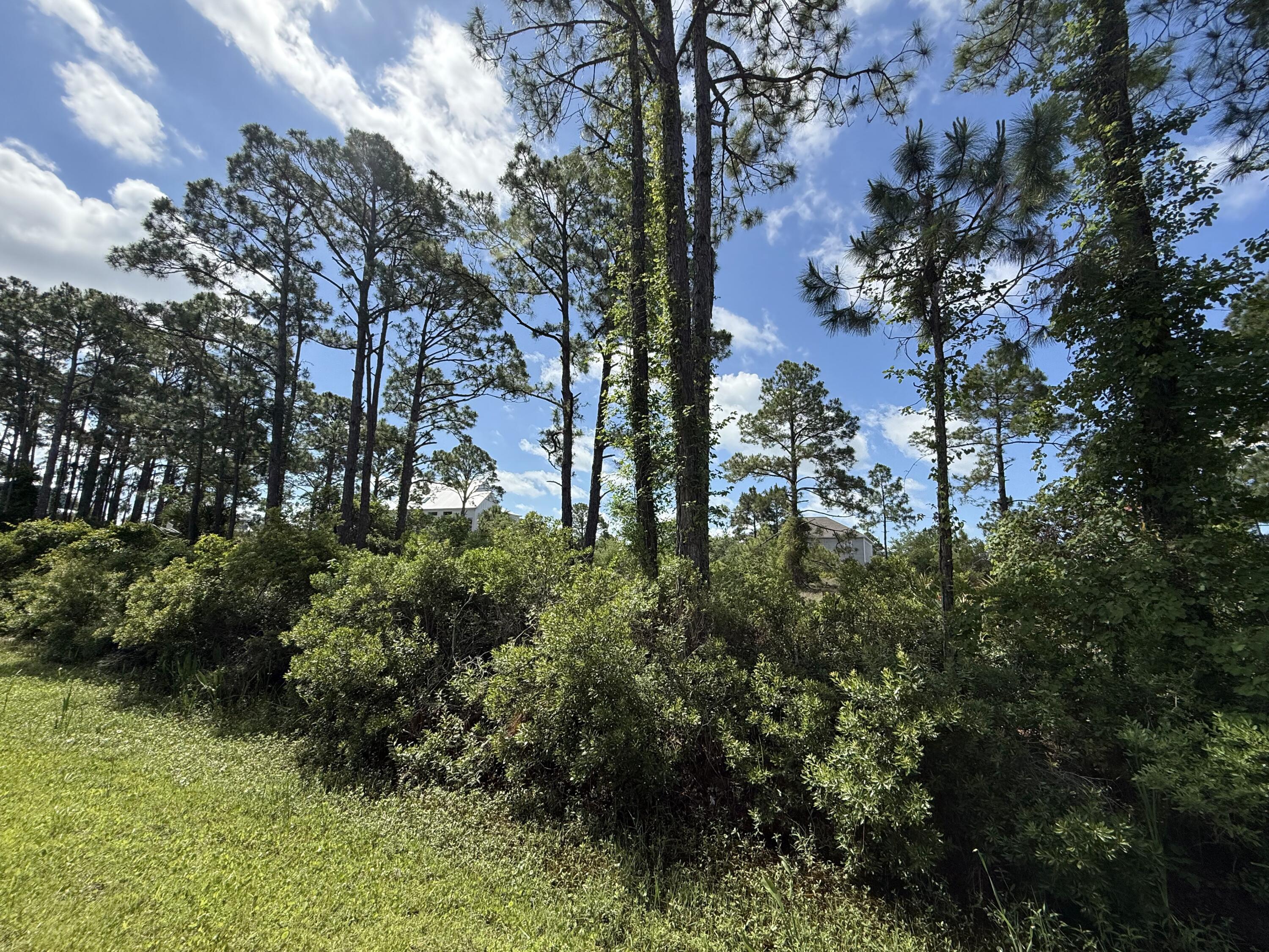 Surfside Estates - Land