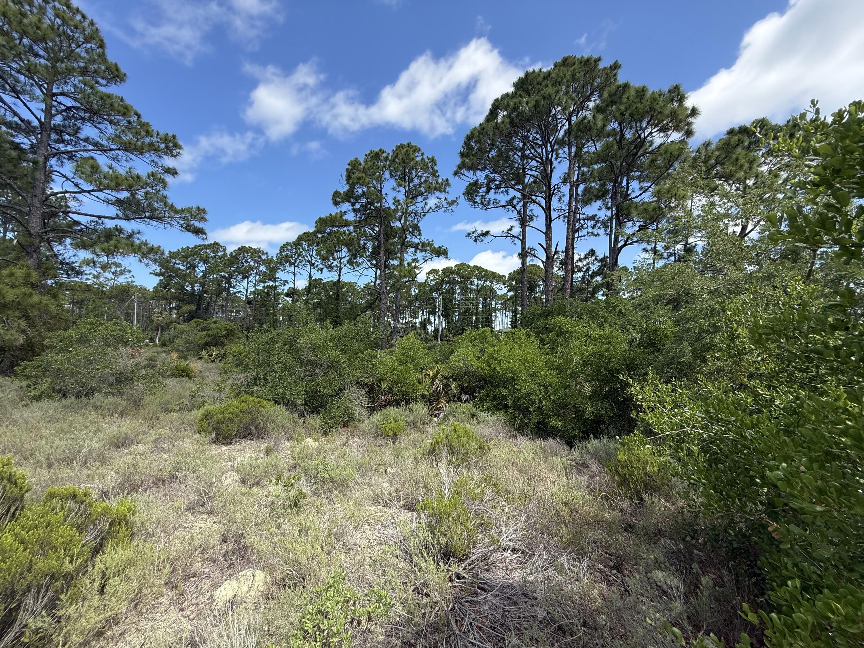 Surfside Estates - Land
