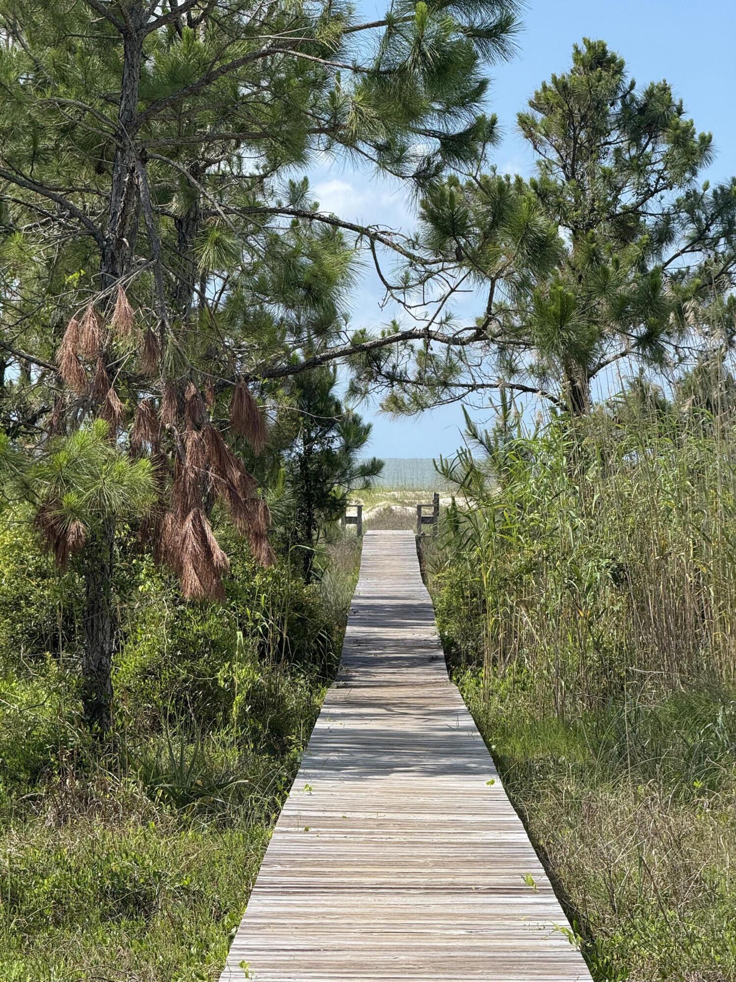 Surfside Estates - Land