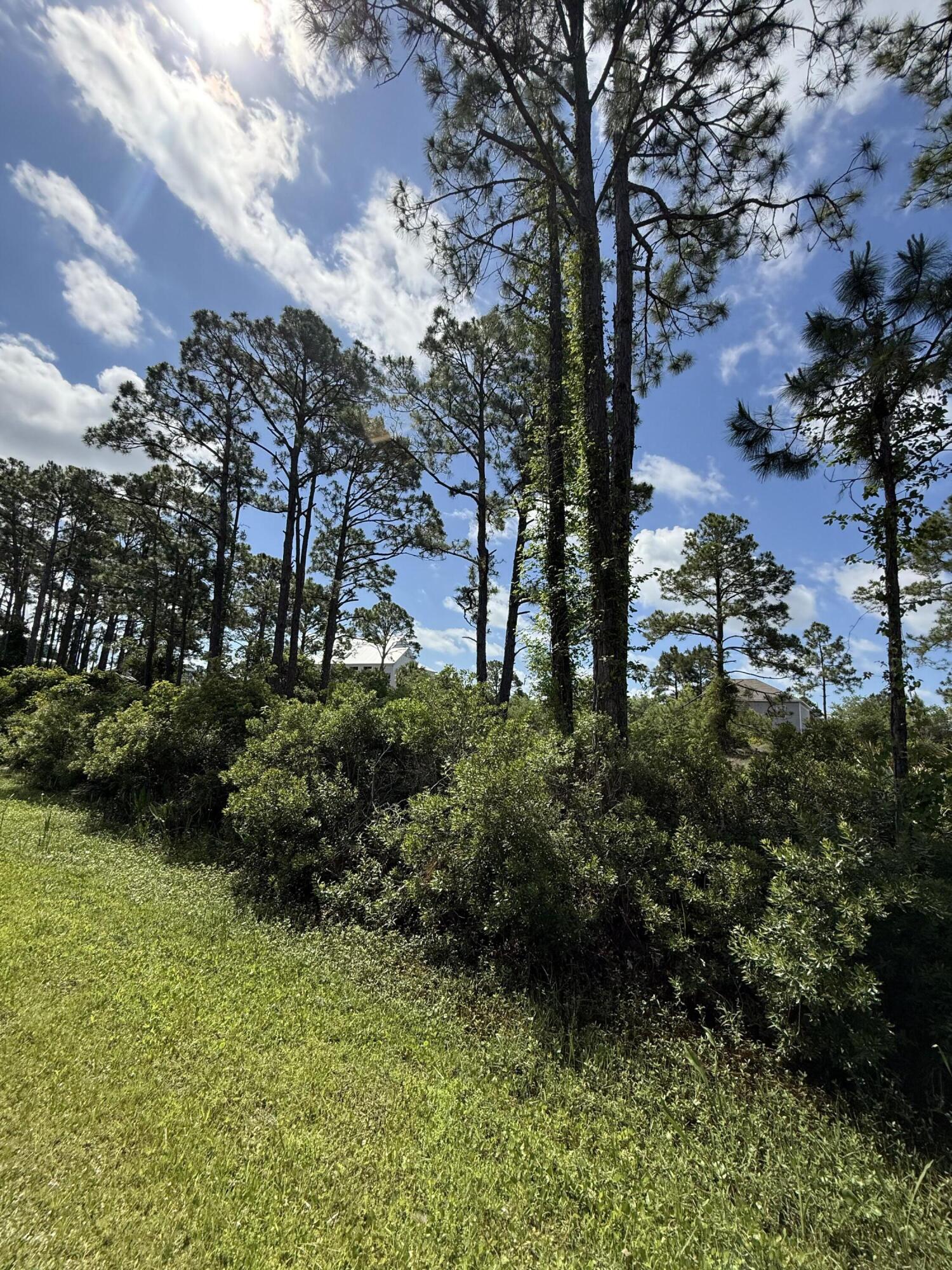 Surfside Estates - Land