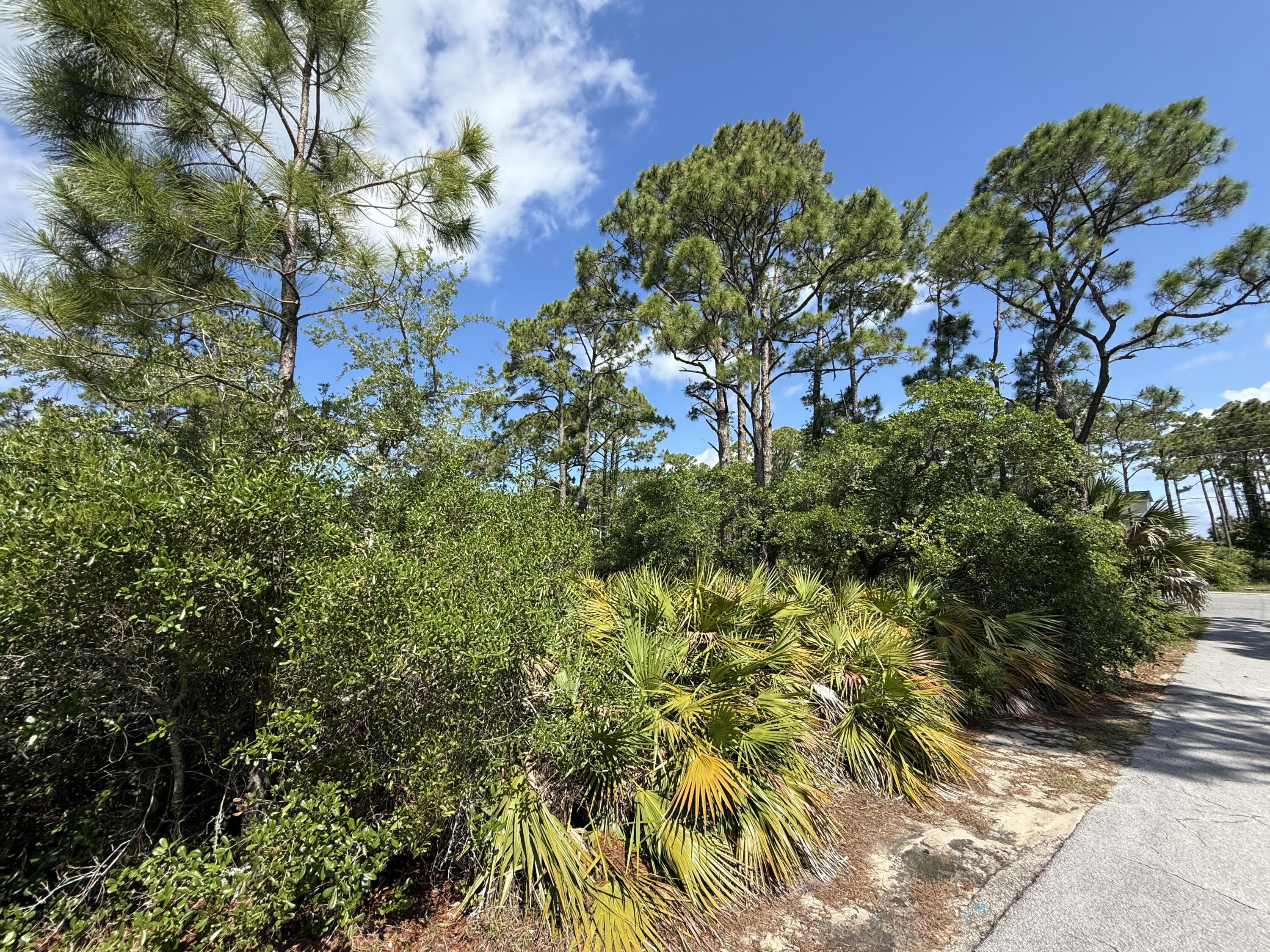 Surfside Estates - Land