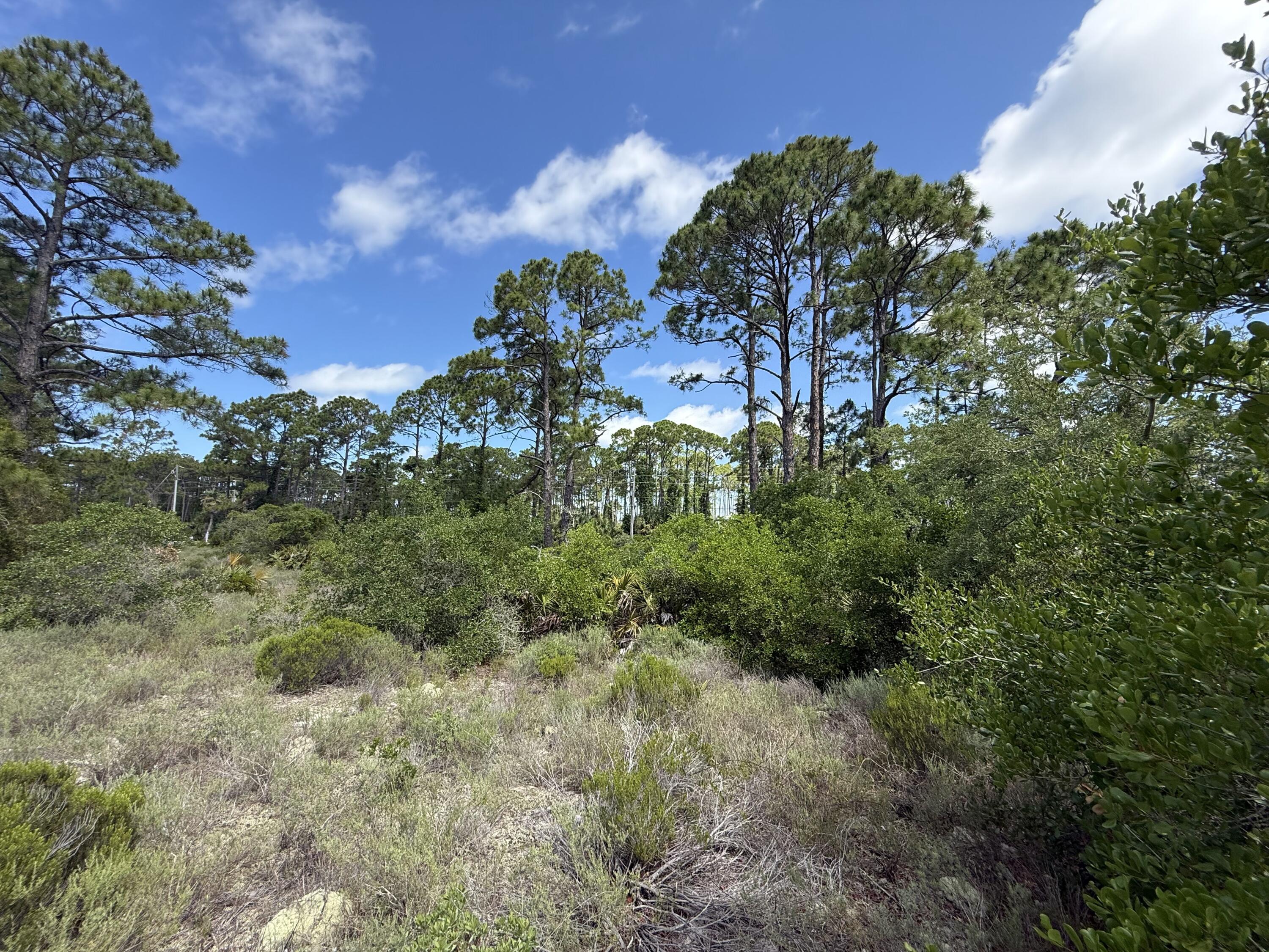 Surfside Estates - Land