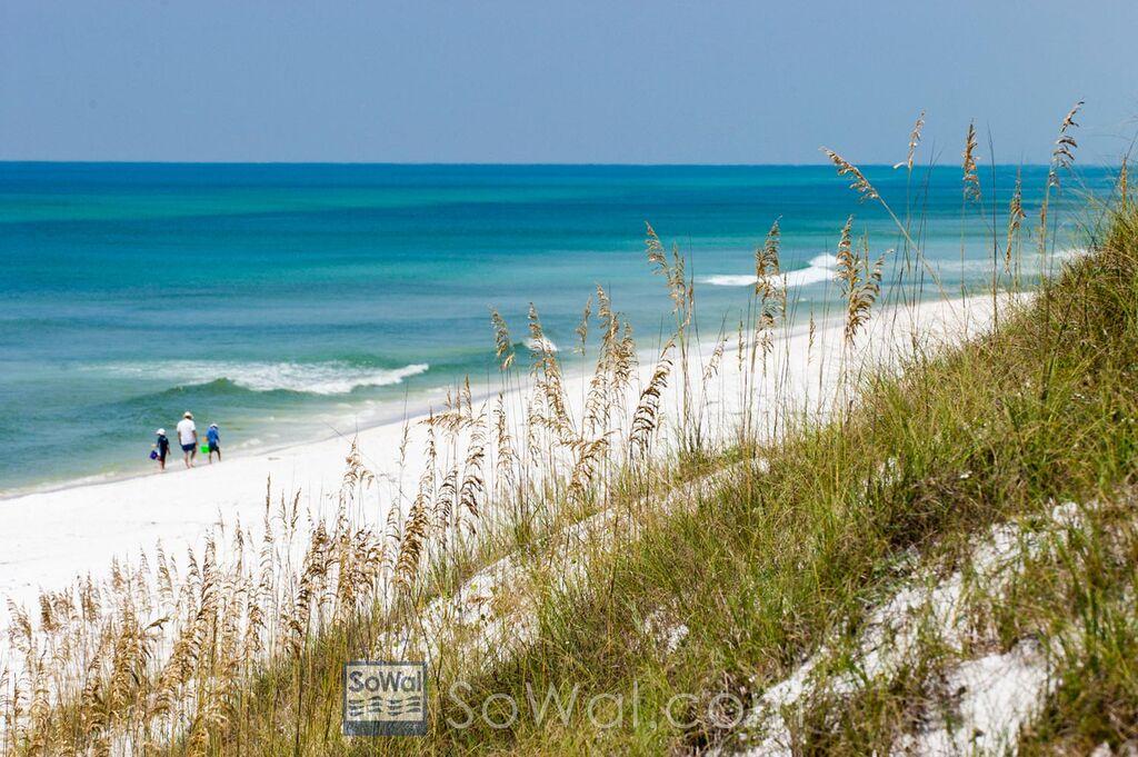 Mosaic Oaks - Residential