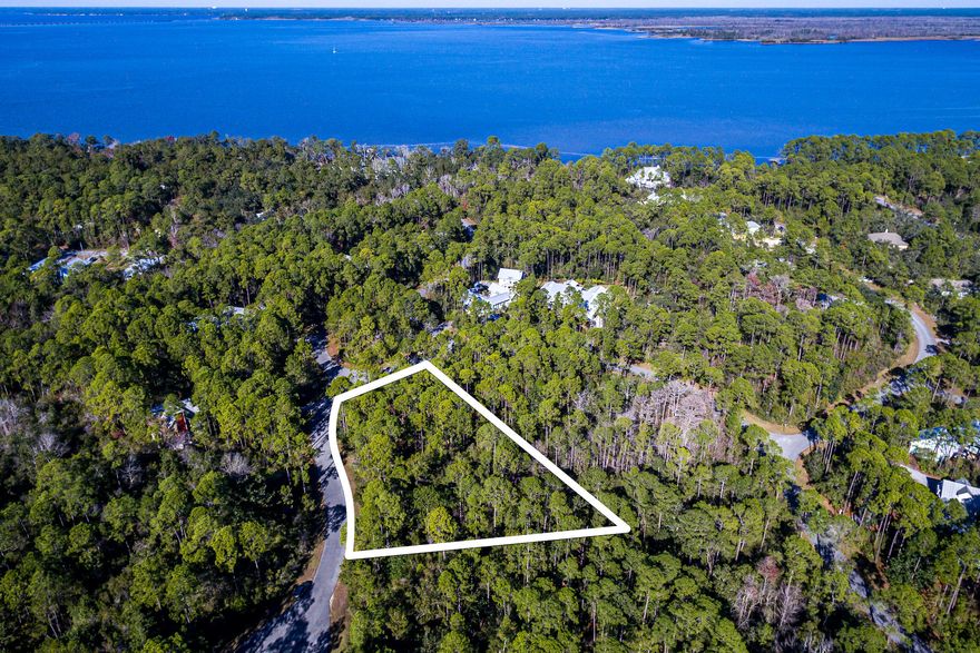 Build your dream home on this over-sized lot in the serene neighborhood of The Woods in Point Washington. This gorgeously wooded lot is almost an acre in size and ideally located within the neighborhood. The Woods is a bay front and carefully planned neighborhood with a community dock and community park where residents can enjoy fishing, kayaking, paddle boarding or just taking in the beautiful scenery. Located just minutes from the beaches, dining and entertainment 30A has to offer. There is no build out time and there are architectural guidelines are in place to protect the integrity of the neighborhood. Call today to see this gorgeous lot!