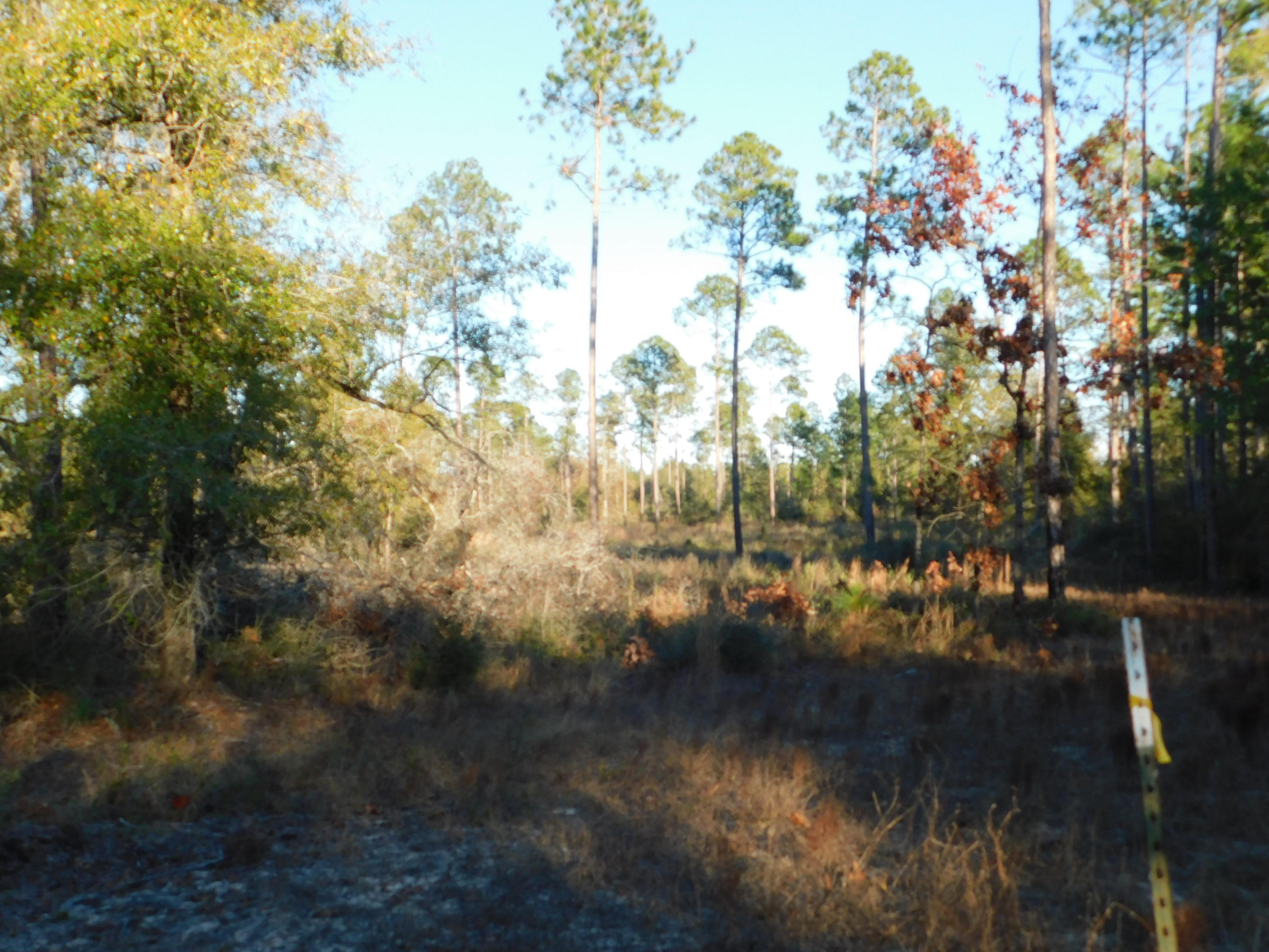 Metes and Bounds - Farm