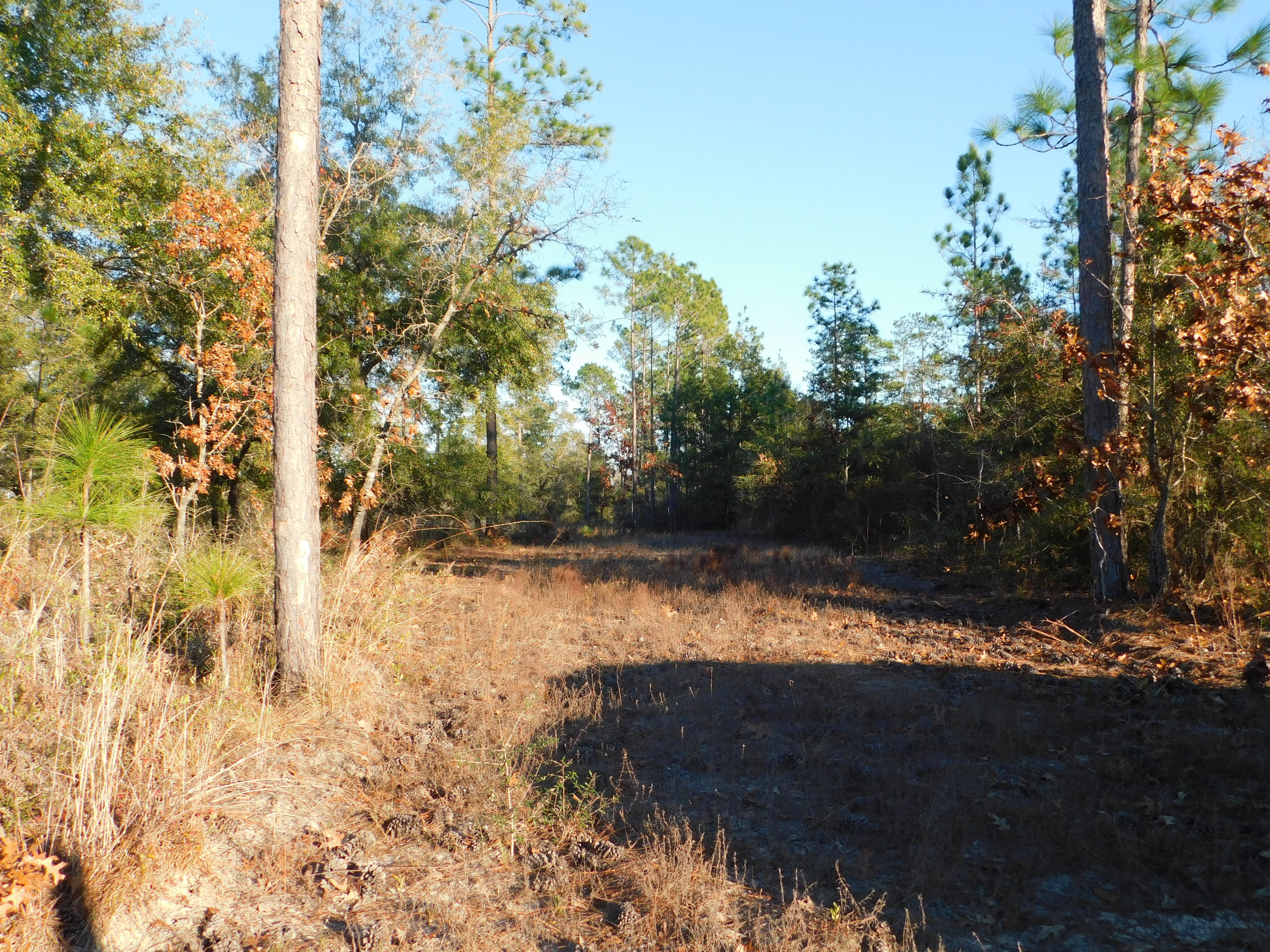 Metes and Bounds - Farm