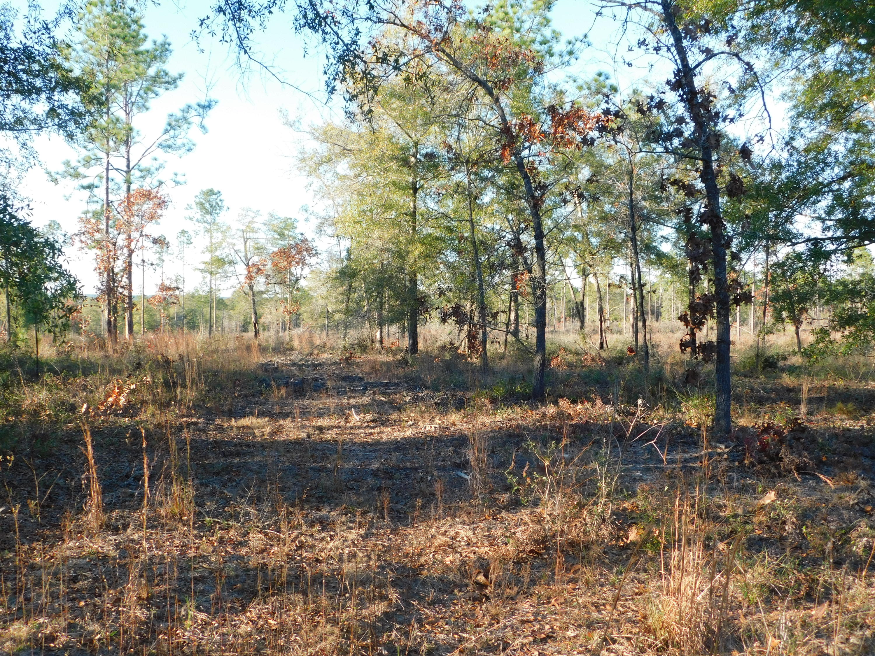 Metes and Bounds - Farm