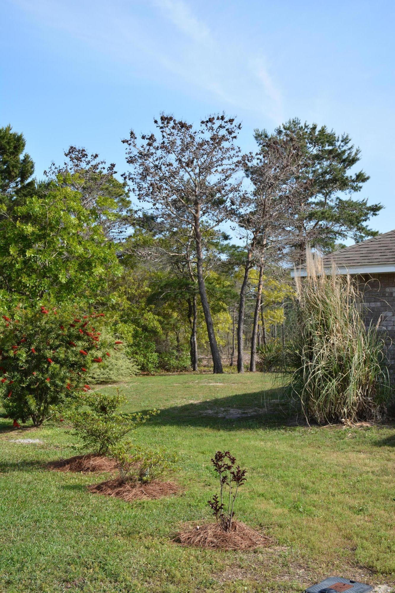 BARBAROSA RANCHETTES LOT 82 BLK A AS DES IN OR 2824 PG 1121 - Residential